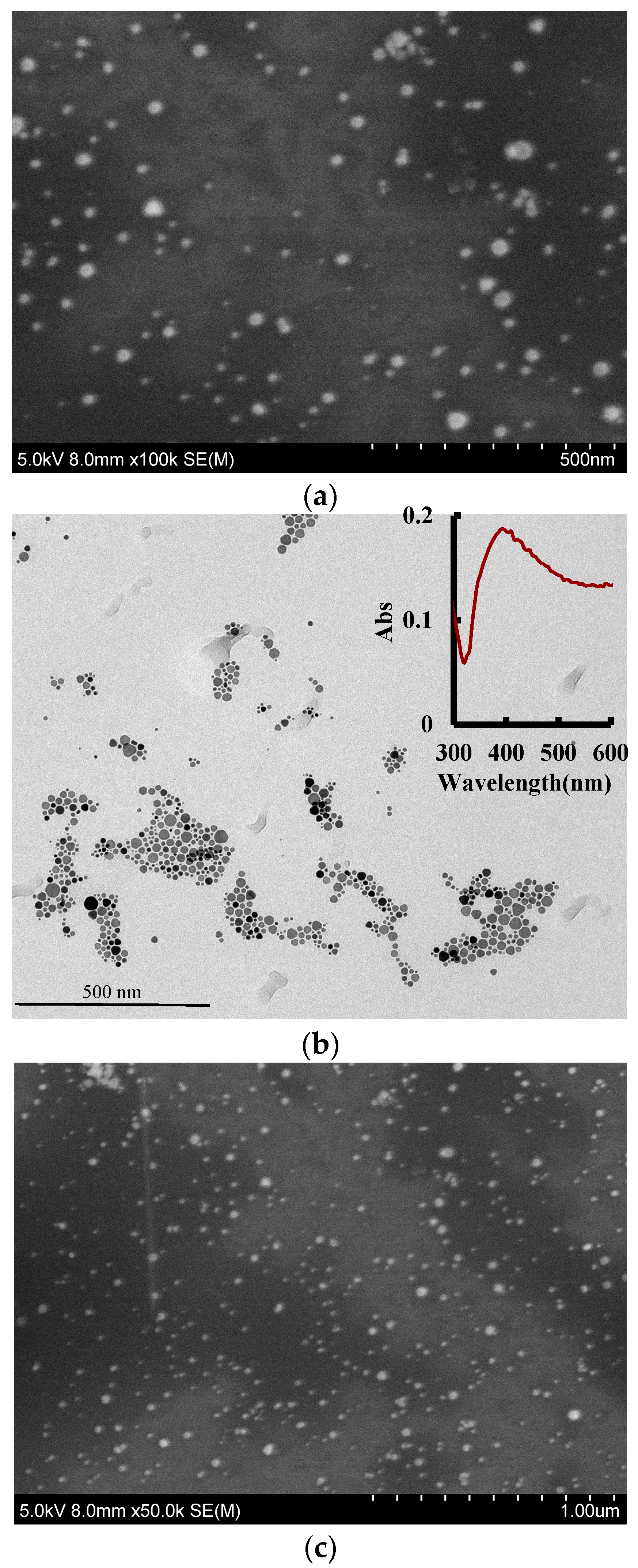 Nanomaterials 09 00480 g003a