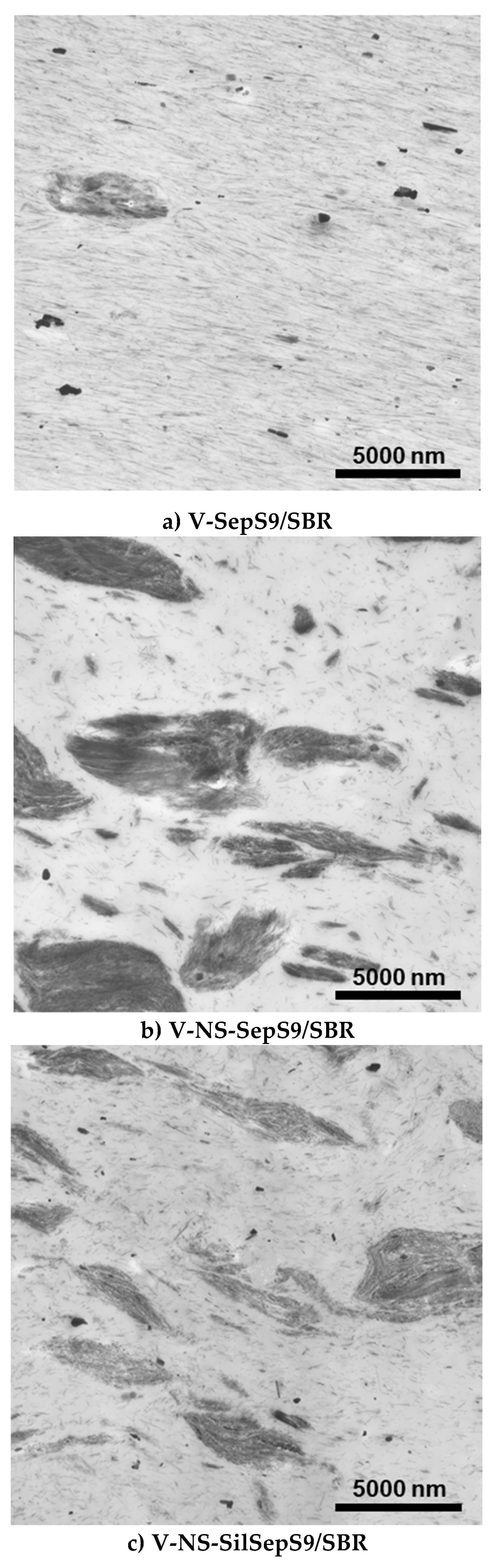 Nanomaterials 09 00486 g006