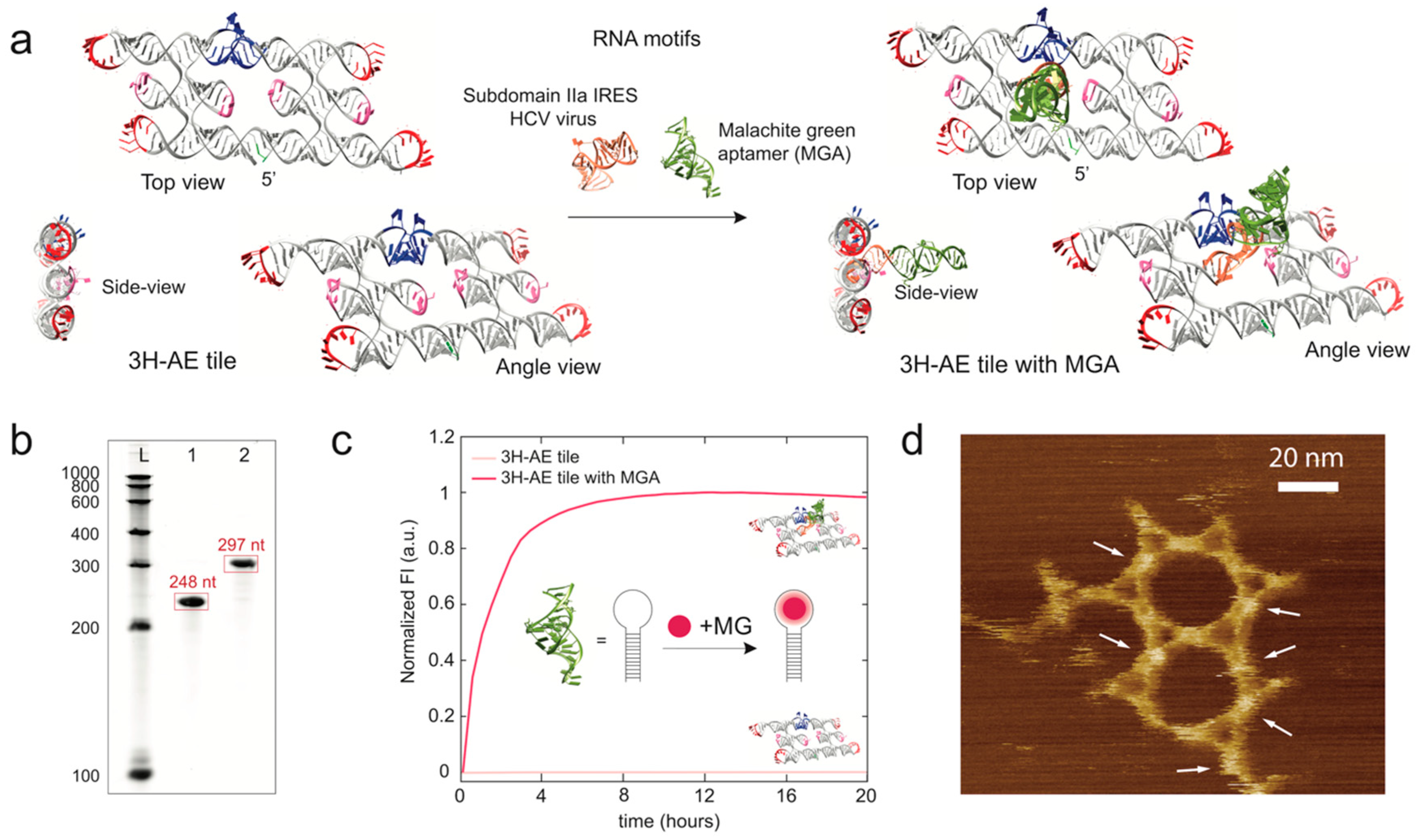 Nanomaterials 09 00507 g002