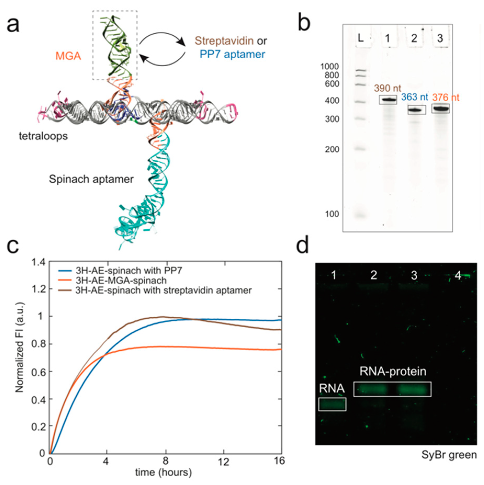 Nanomaterials 09 00507 g005
