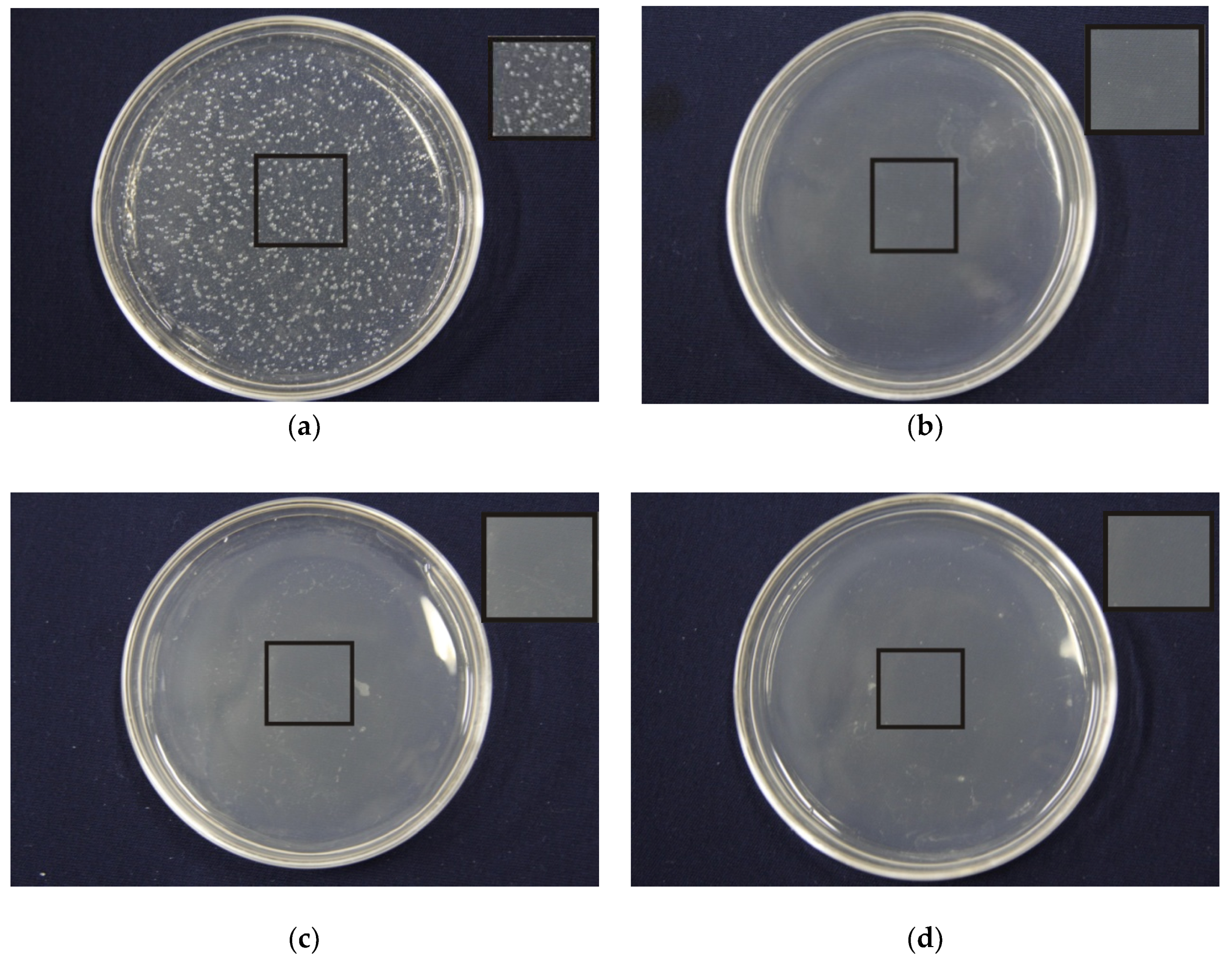 Nanomaterials 09 00508 g007a