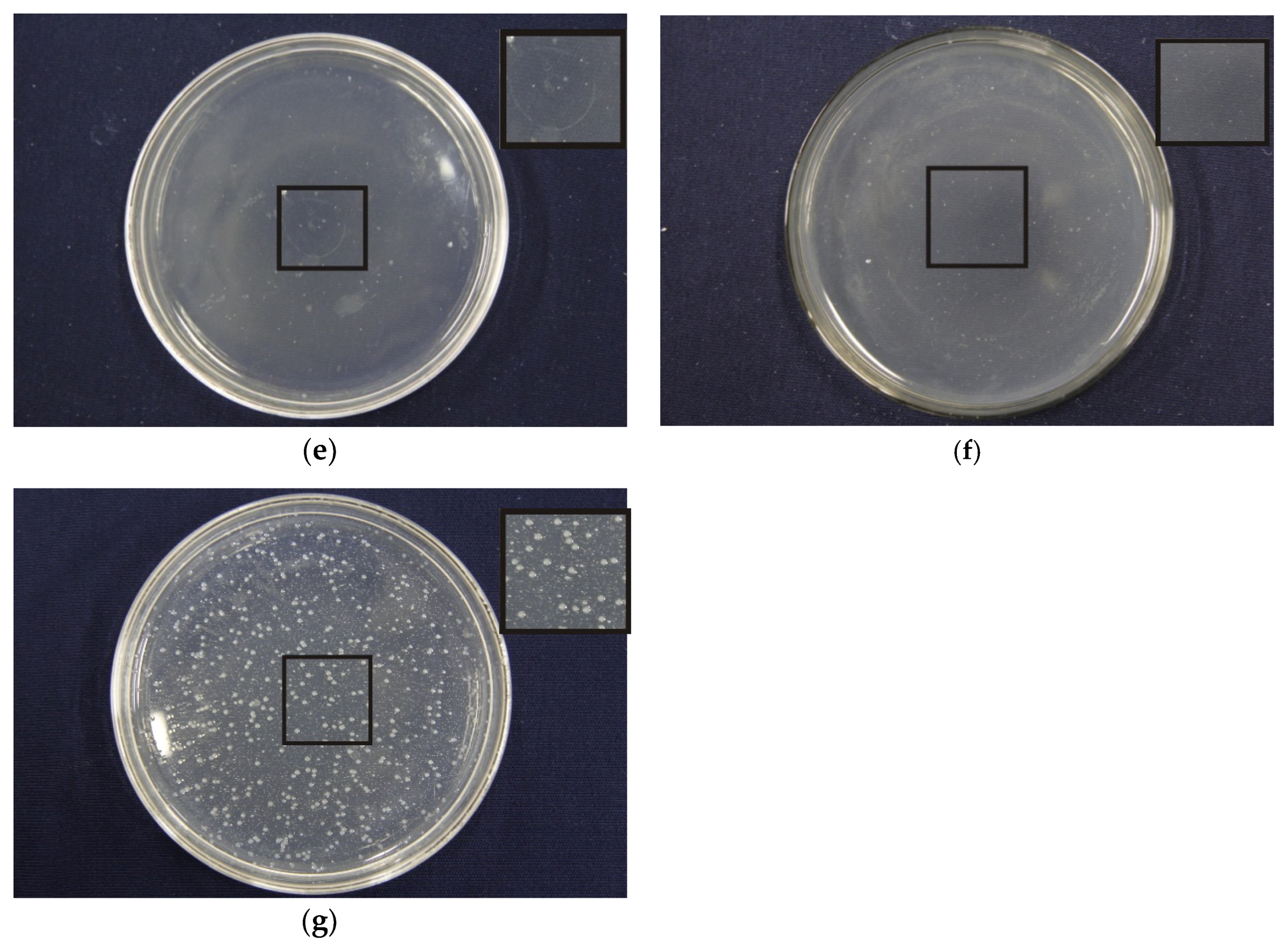 Nanomaterials 09 00508 g007b