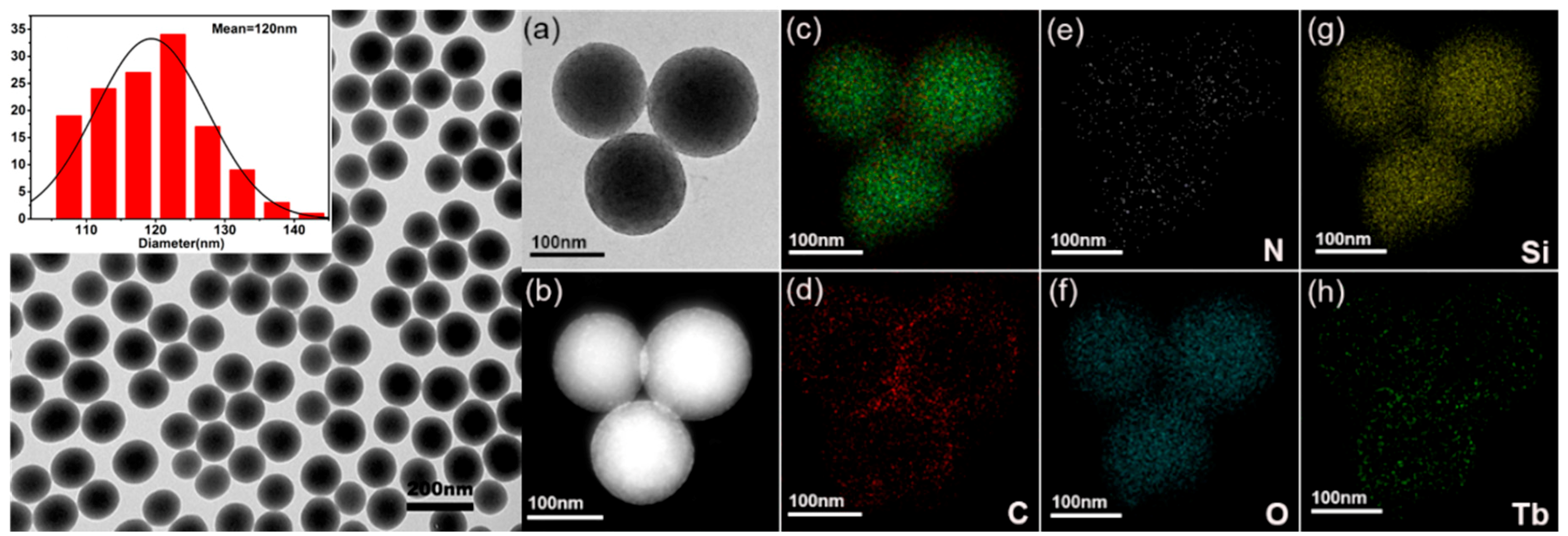 Nanomaterials 09 00510 g002 550