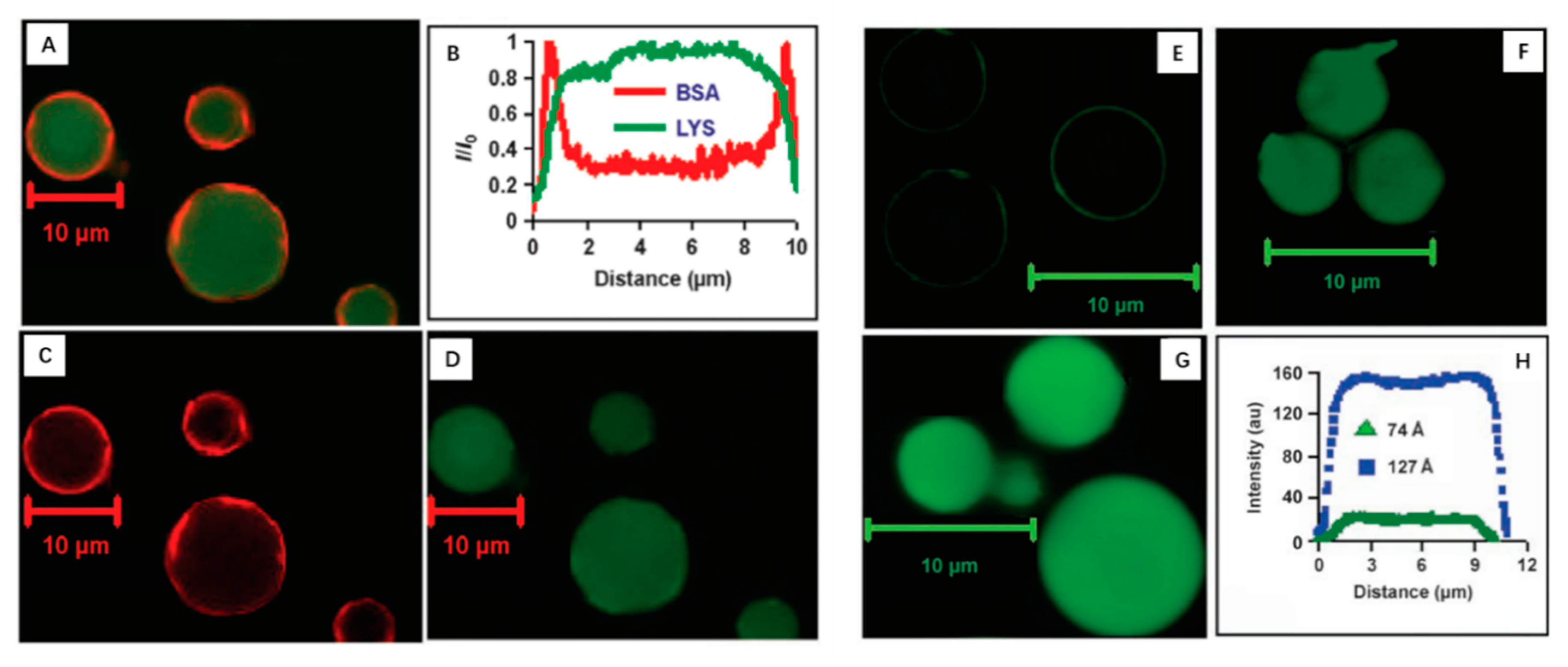 Nanomaterials 09 00511 g001