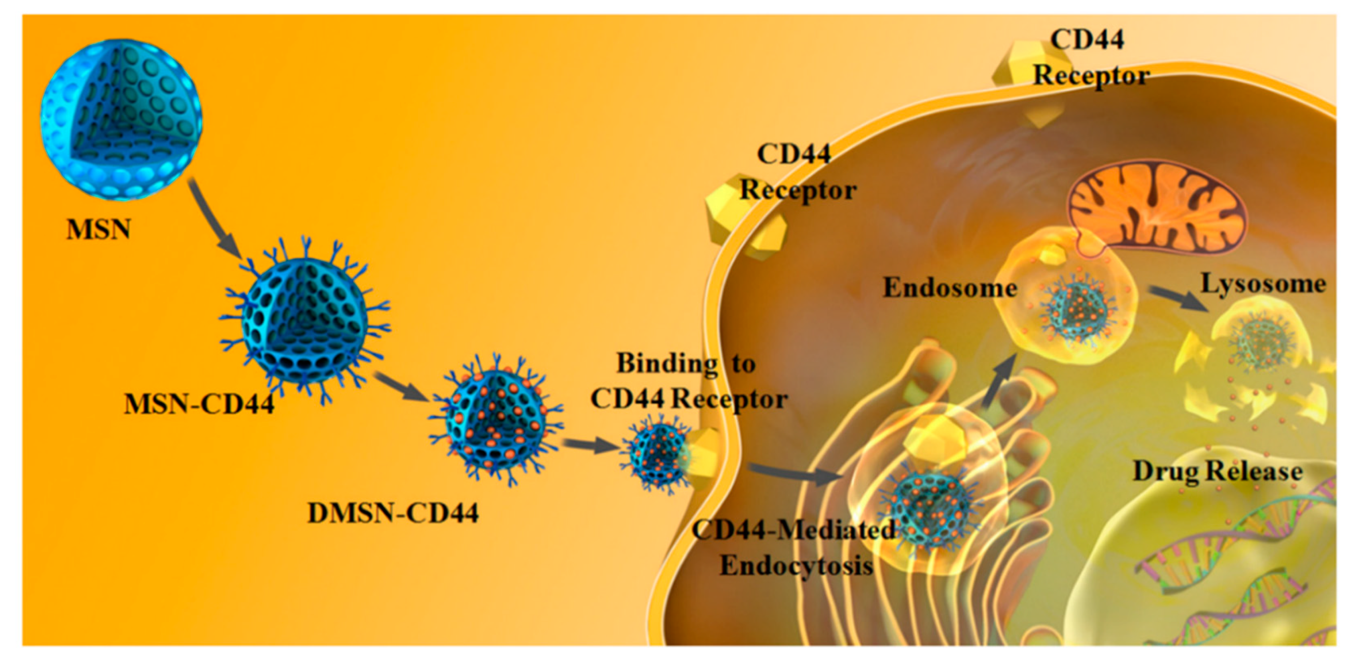 Nanomaterials 09 00511 g002