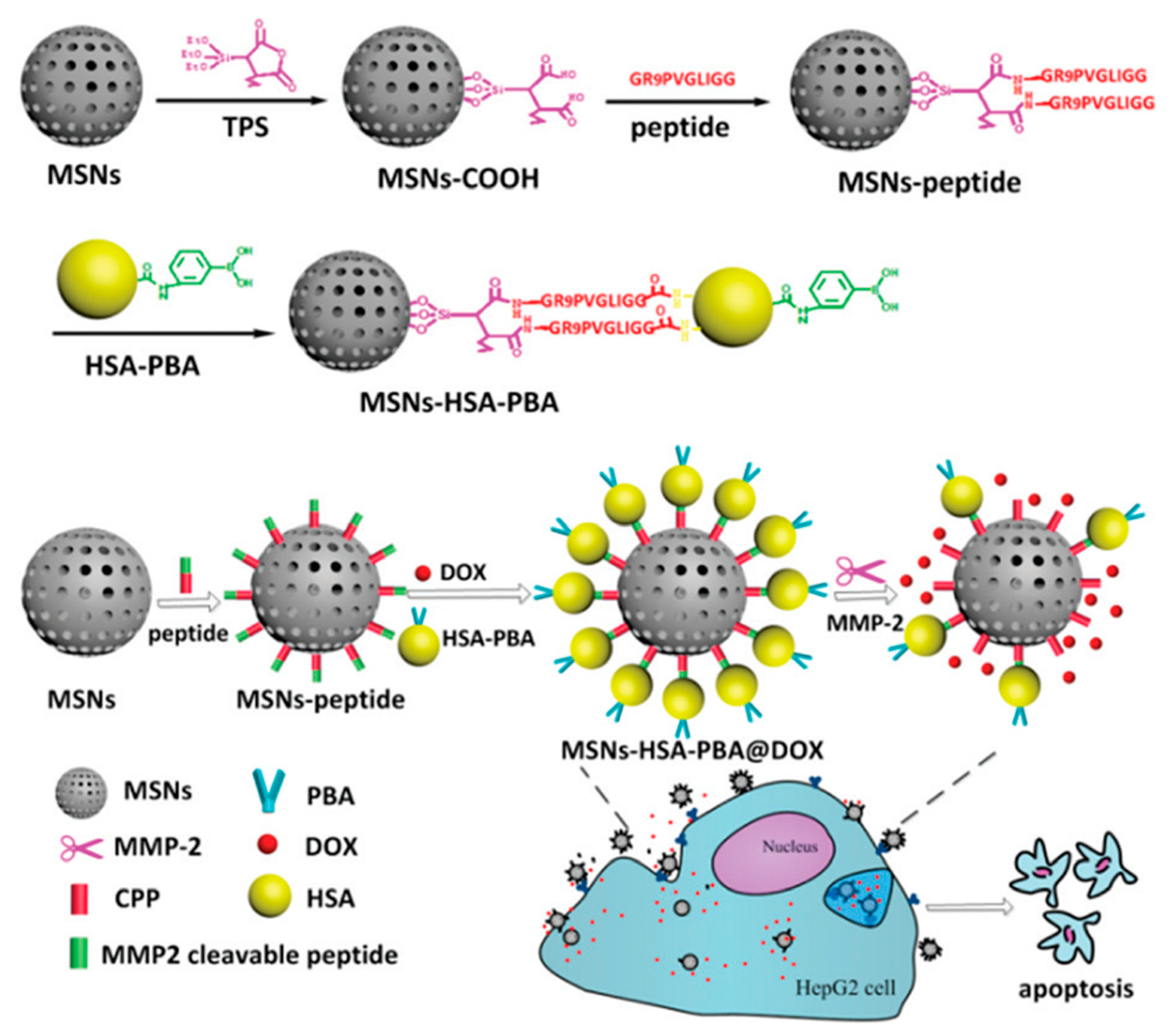 Nanomaterials 09 00511 g005