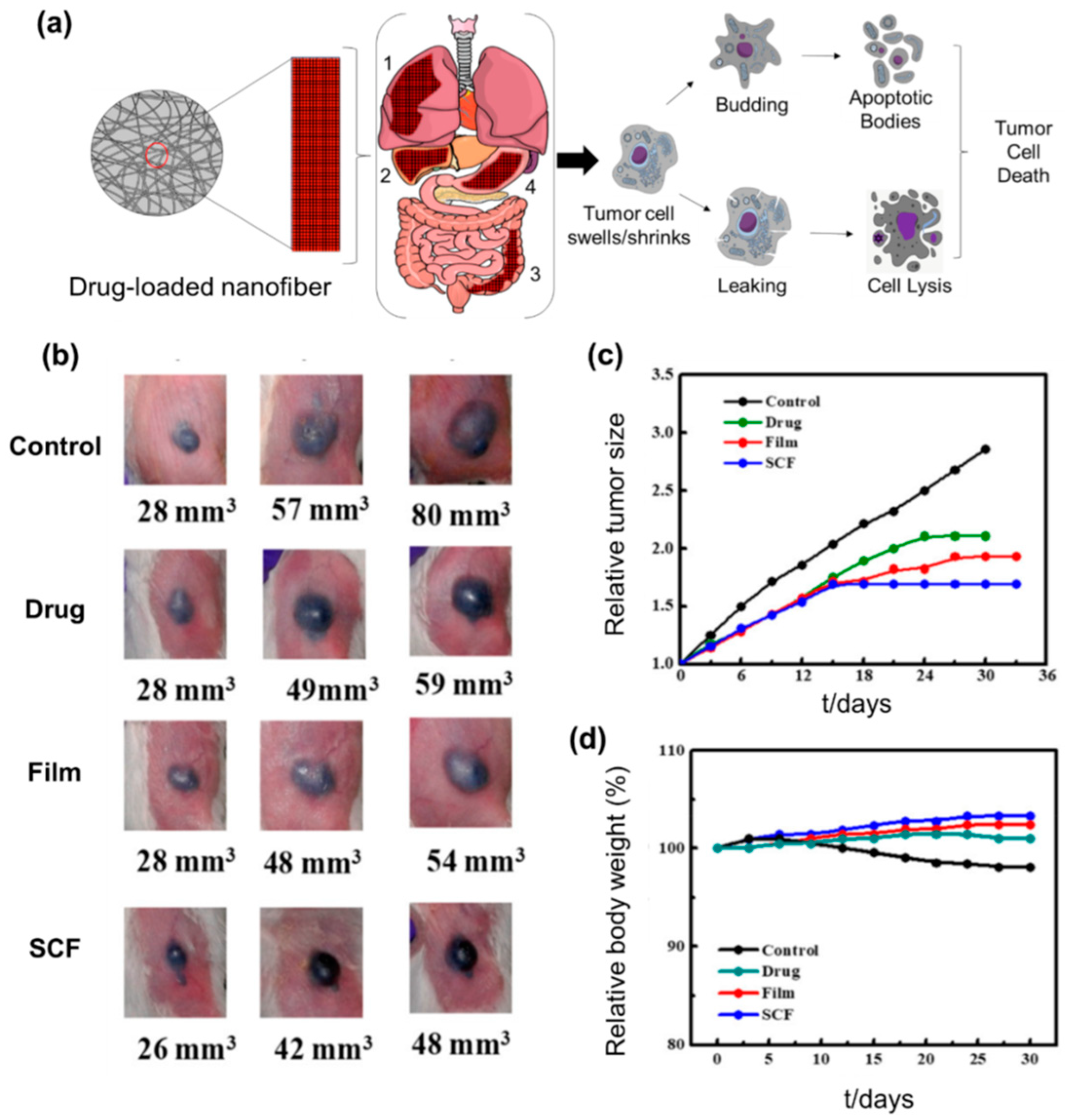 Nanomaterials 09 00532 g003
