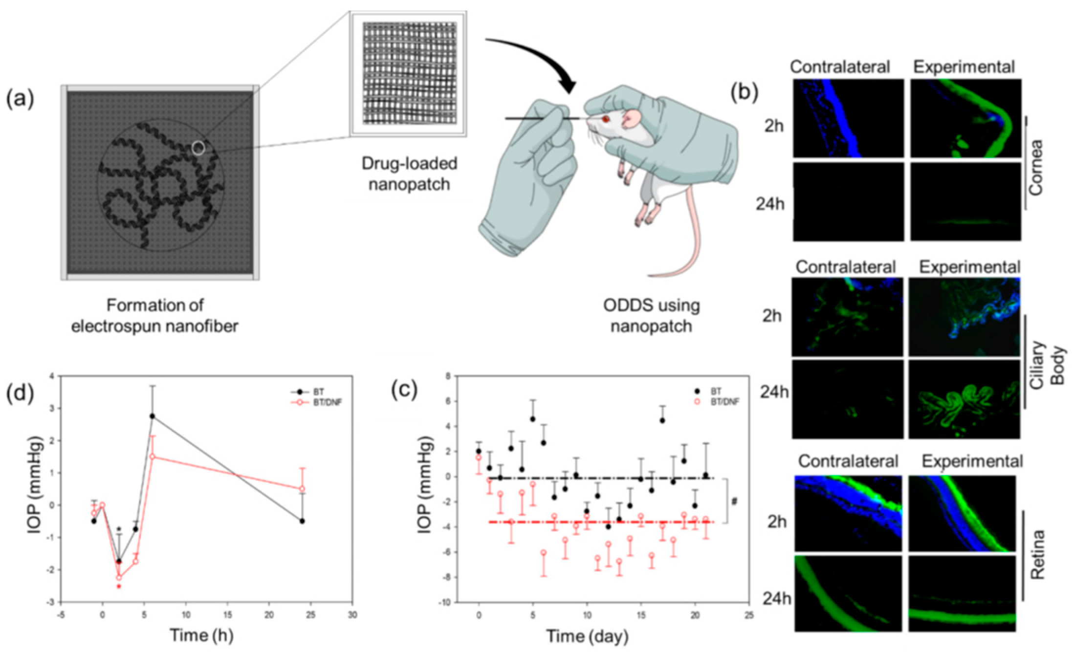 Nanomaterials 09 00532 g005