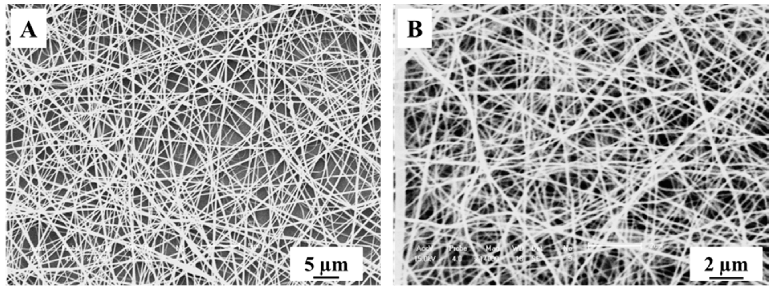 Nanomaterials 09 00535 g001