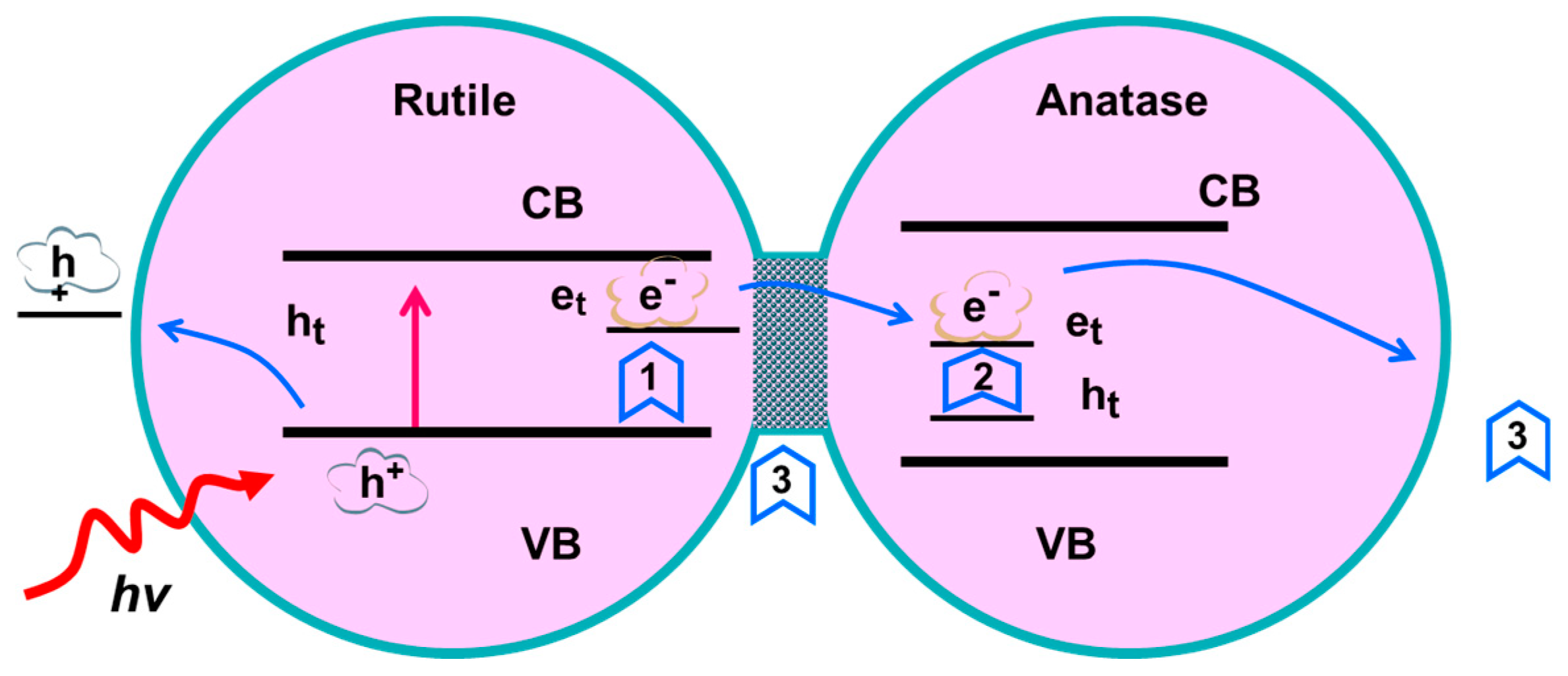 Nanomaterials 09 00535 g006