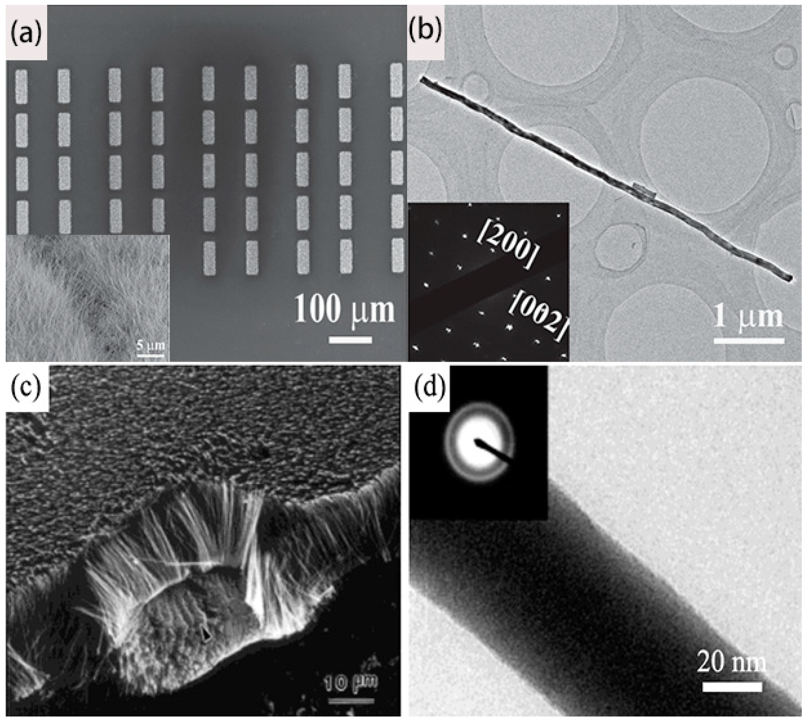 Nanomaterials 09 00538 g003
