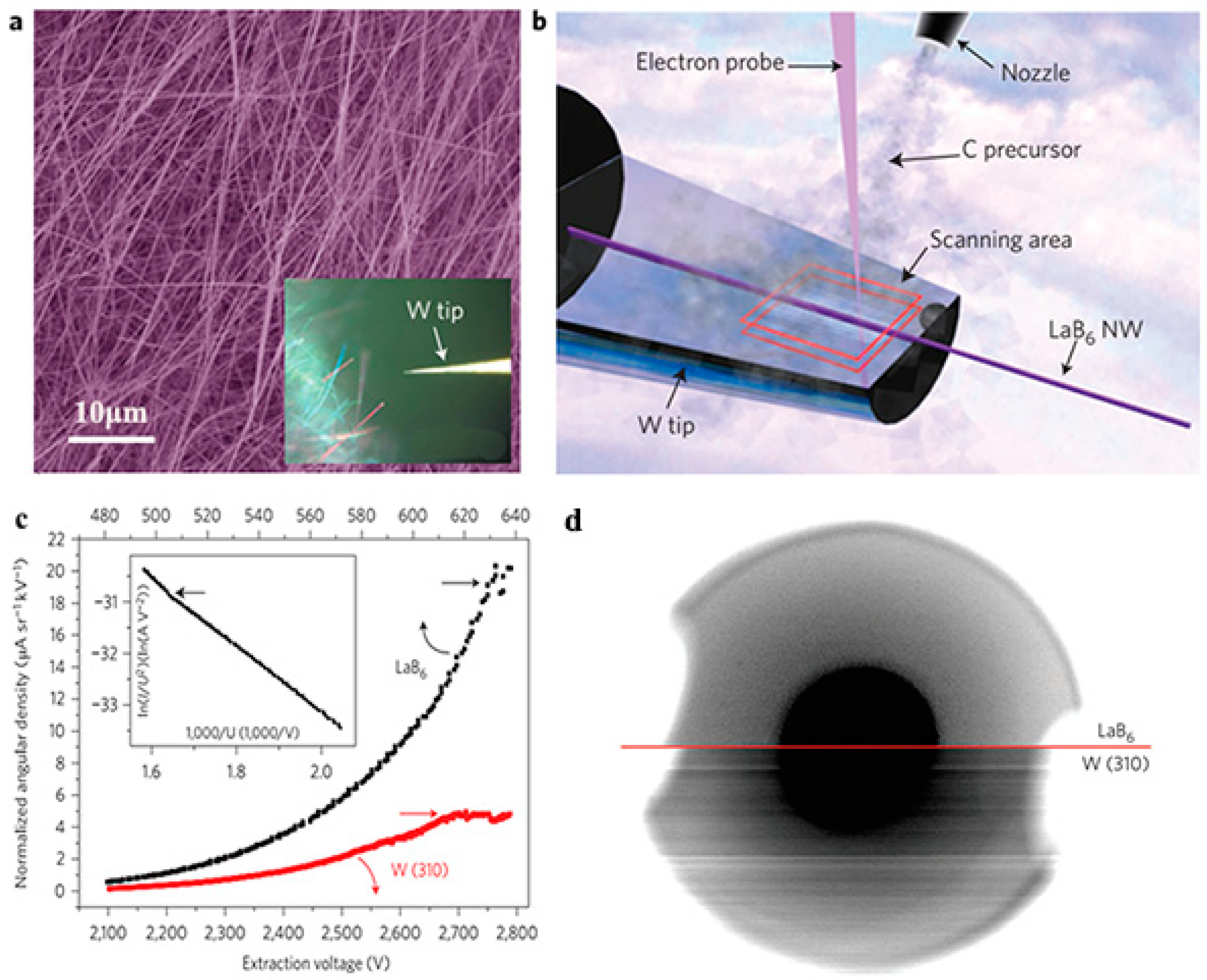 Nanomaterials 09 00538 g010