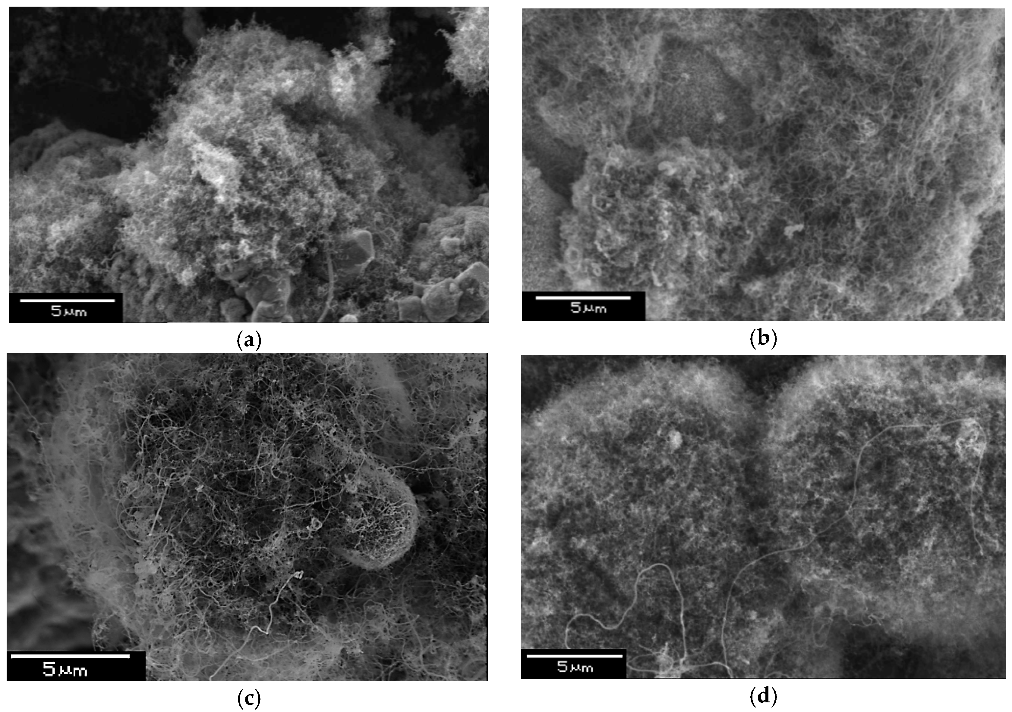 Nanomaterials 09 00550 g006 Nanomaterials 09 00550 g006