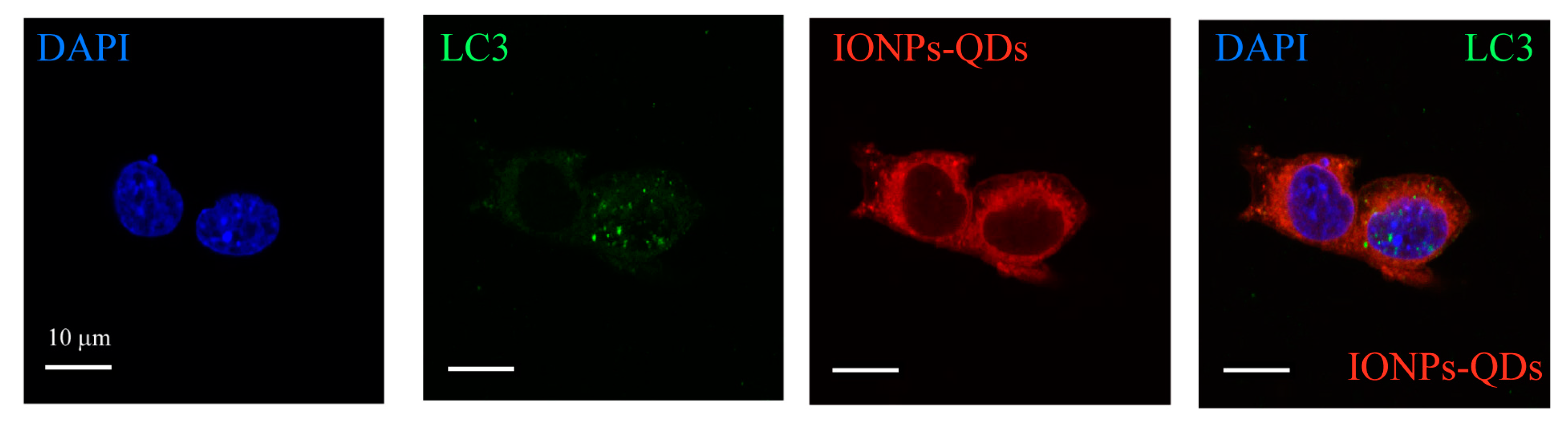 Nanomaterials 09 00551 g005 Nanomaterials 09 00551 g005