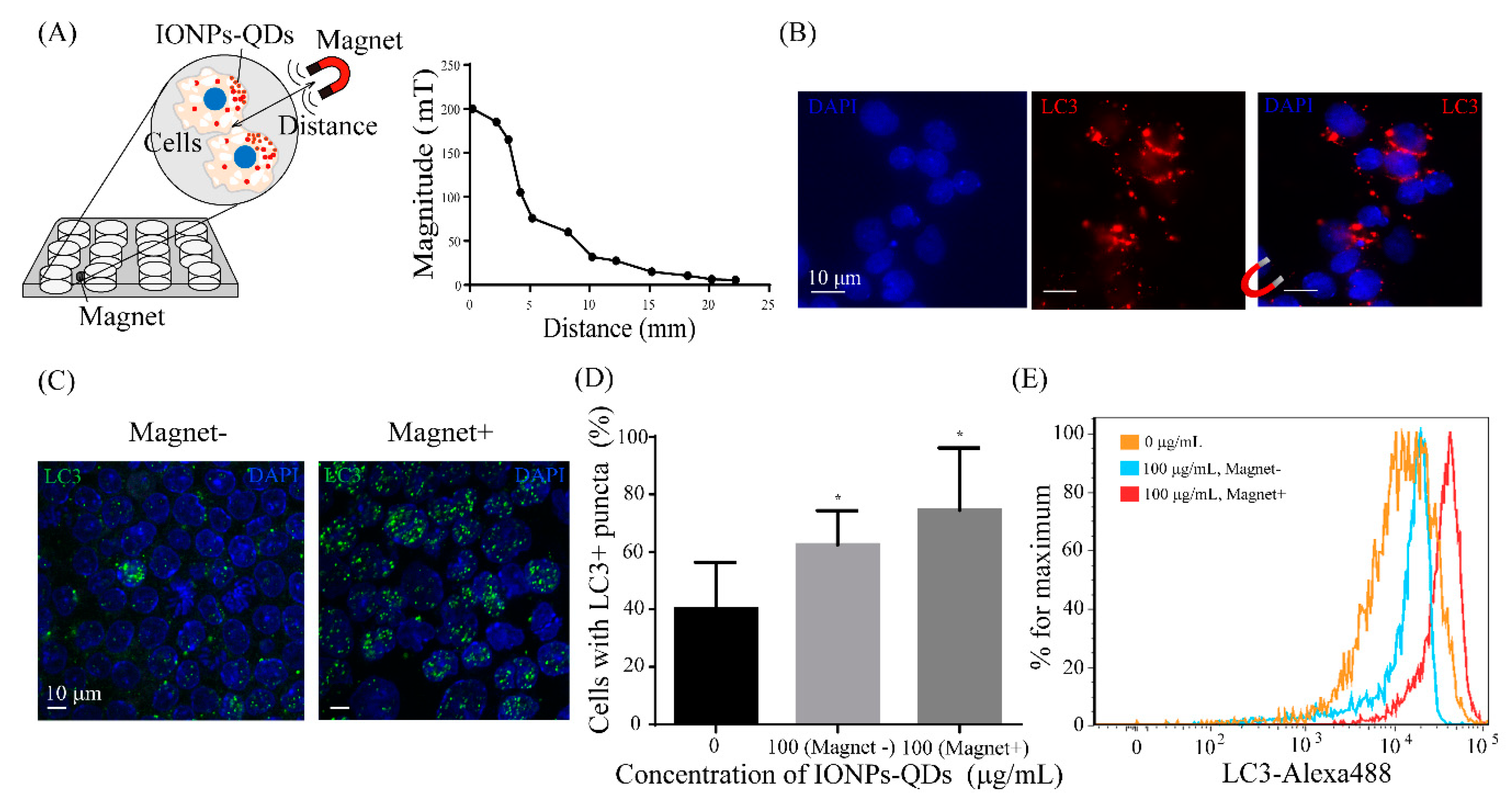Nanomaterials 09 00551 g006 Nanomaterials 09 00551 g006