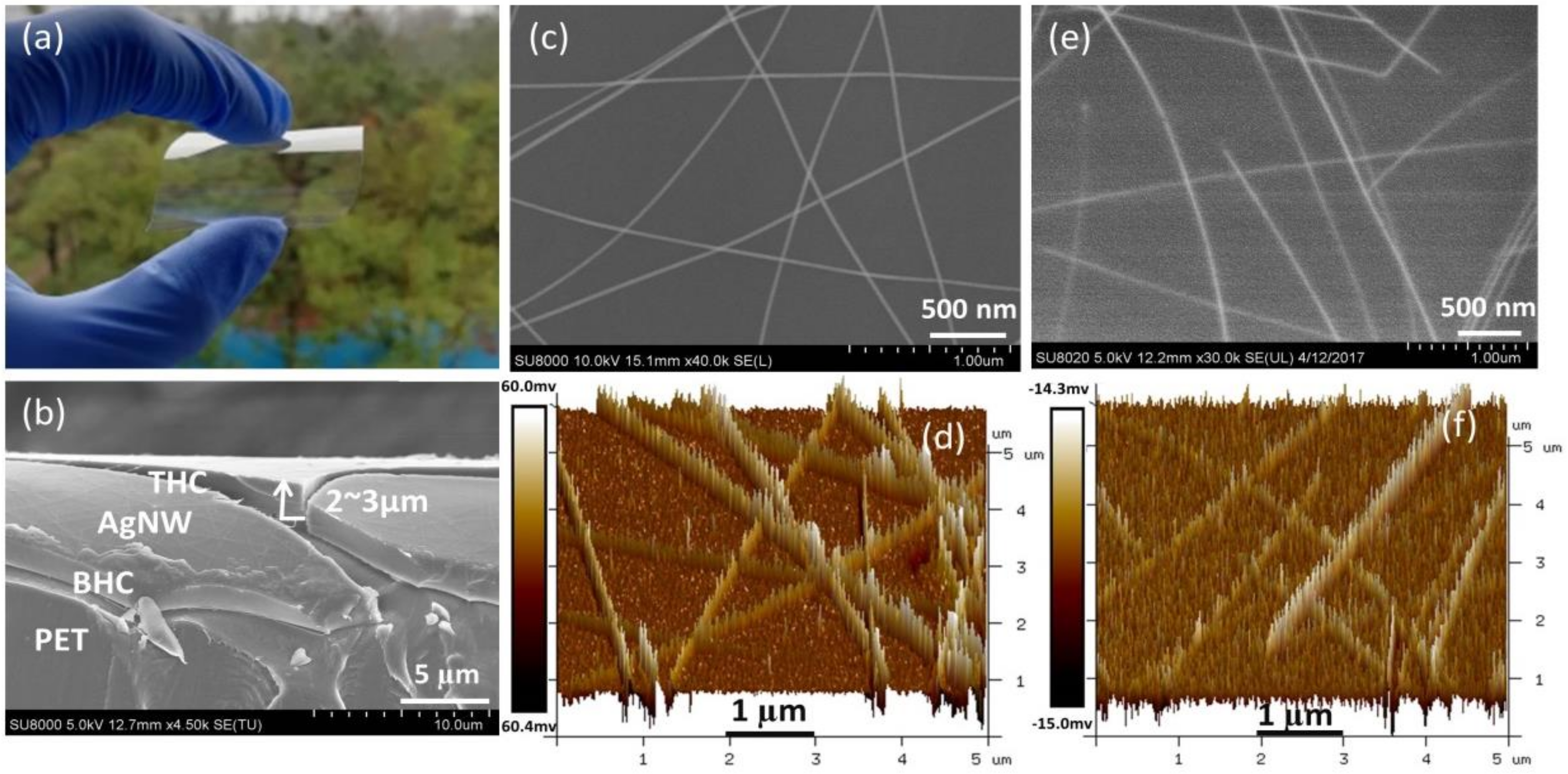 Nanomaterials 09 00557 g002 550