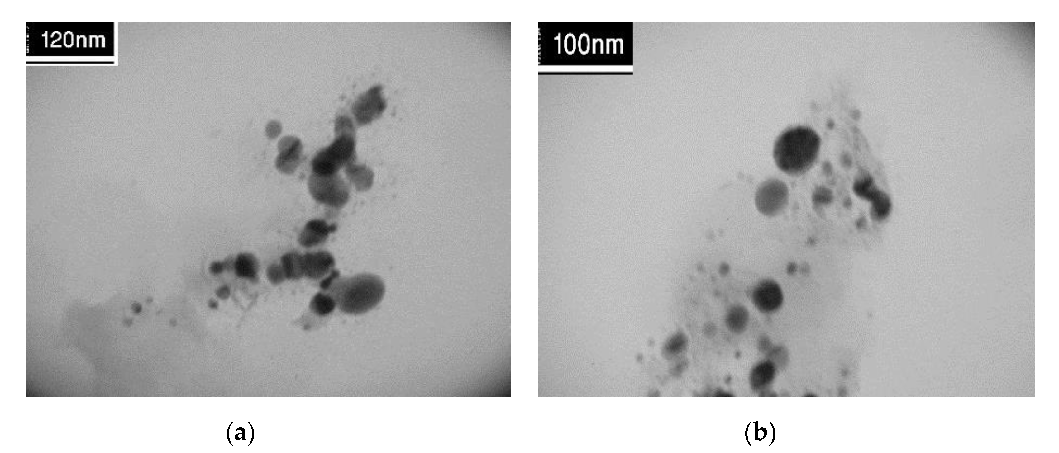 Nanomaterials 09 00565 g005 550