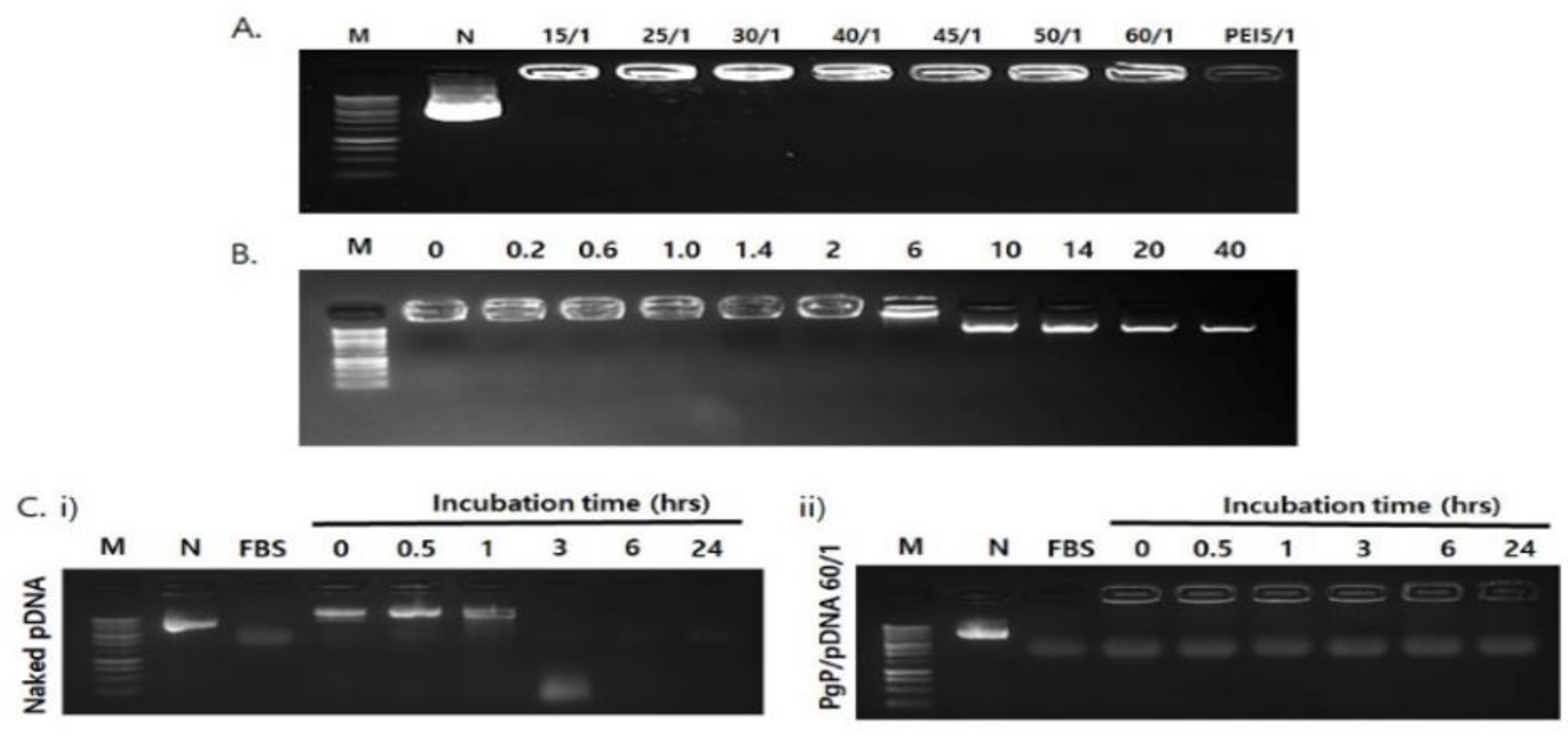 Nanomaterials 09 00573 g002