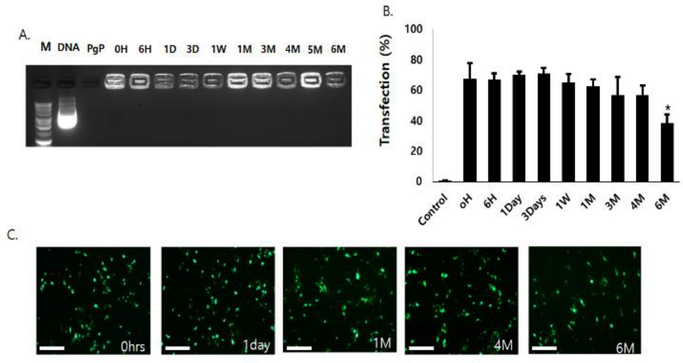 Nanomaterials 09 00573 g003