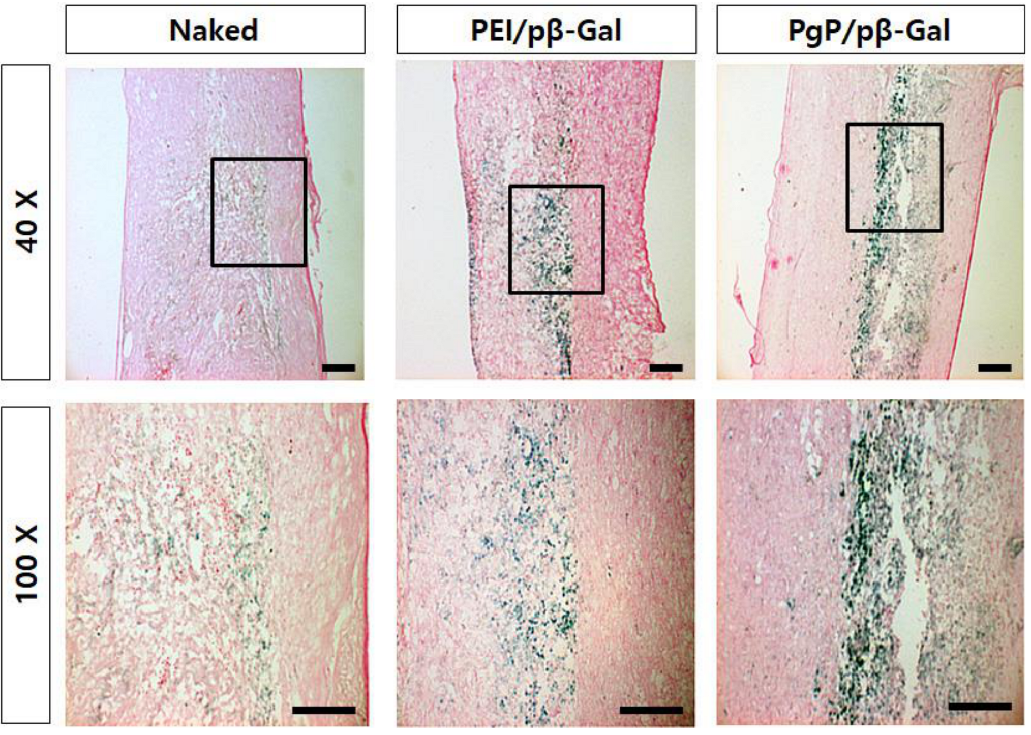 Nanomaterials 09 00573 g006