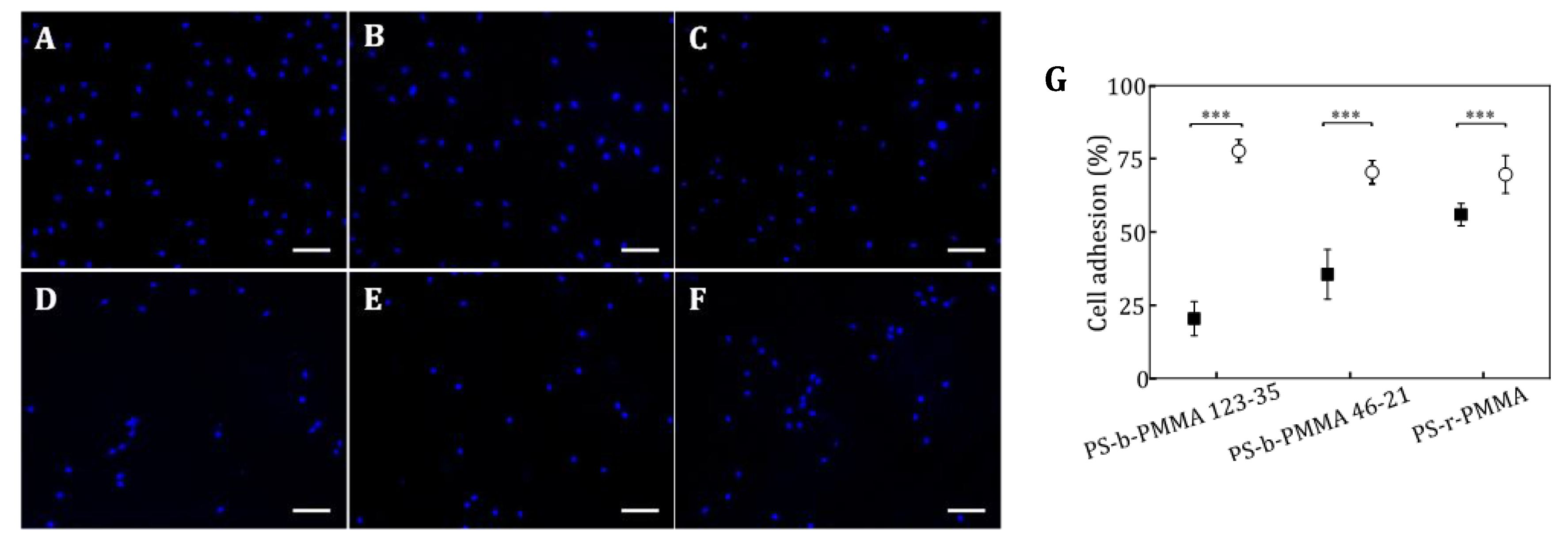 Nanomaterials 09 00579 g006