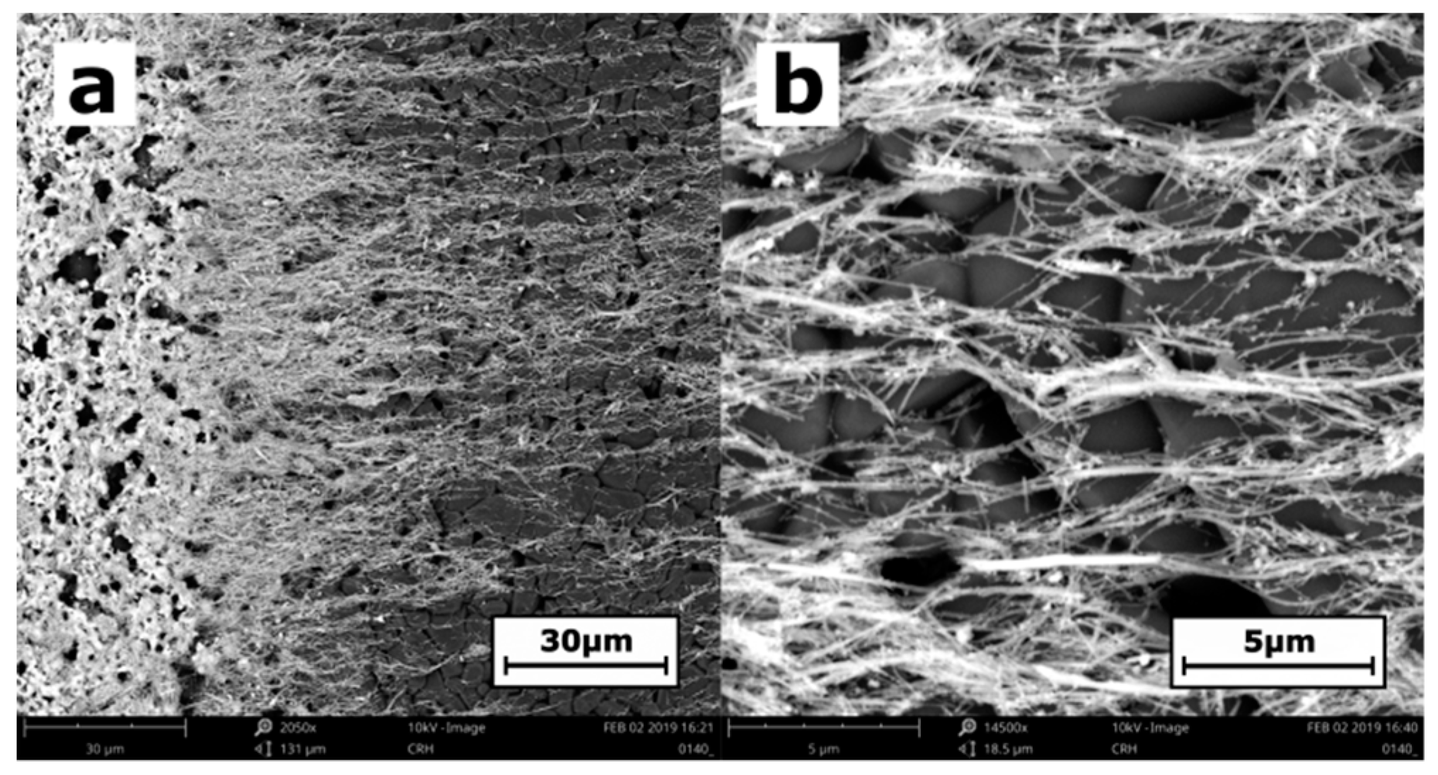Nanomaterials 09 00580 g002 Nanomaterials 09 00580 g002