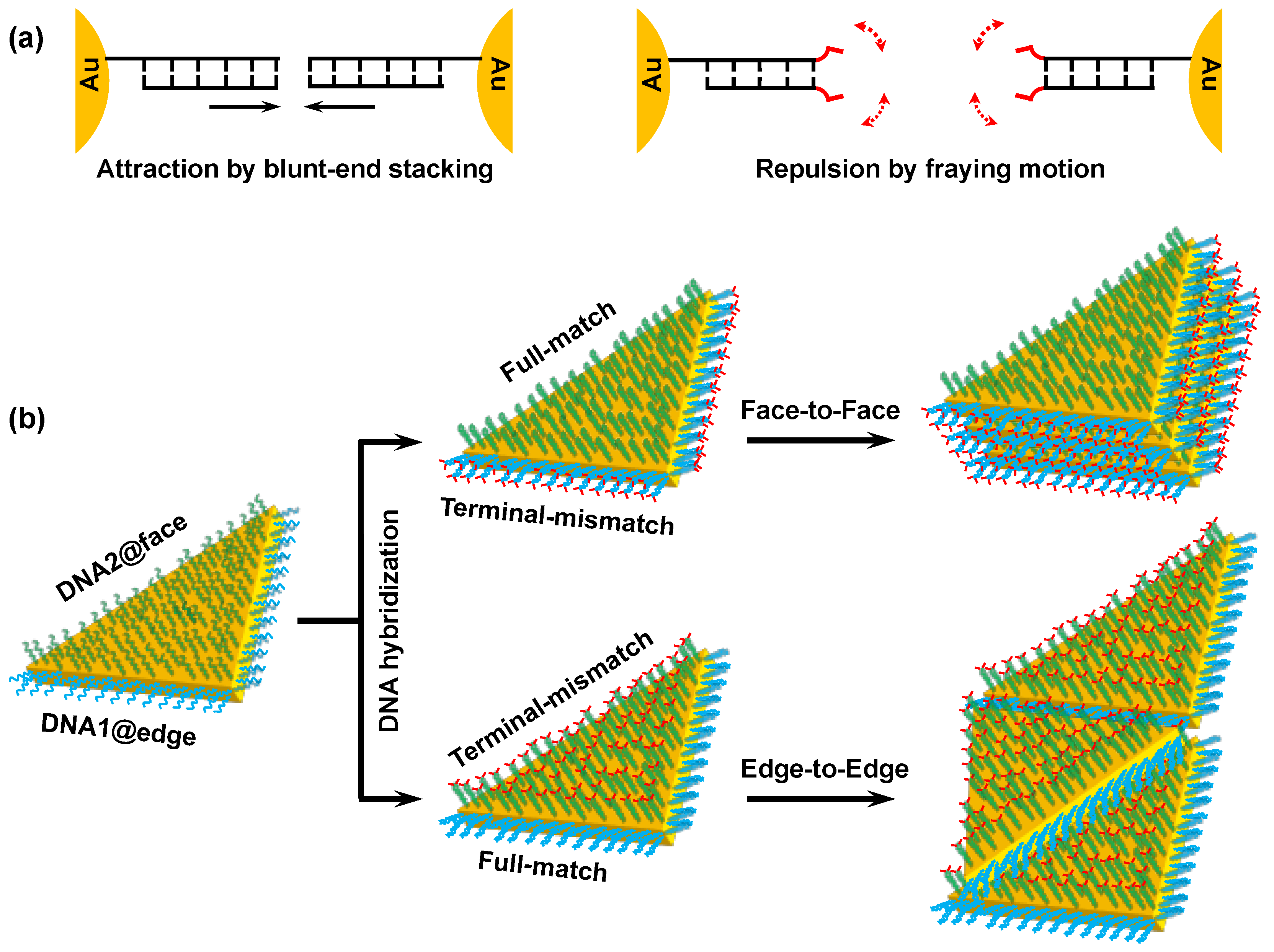 Nanomaterials 09 00581 g001 550