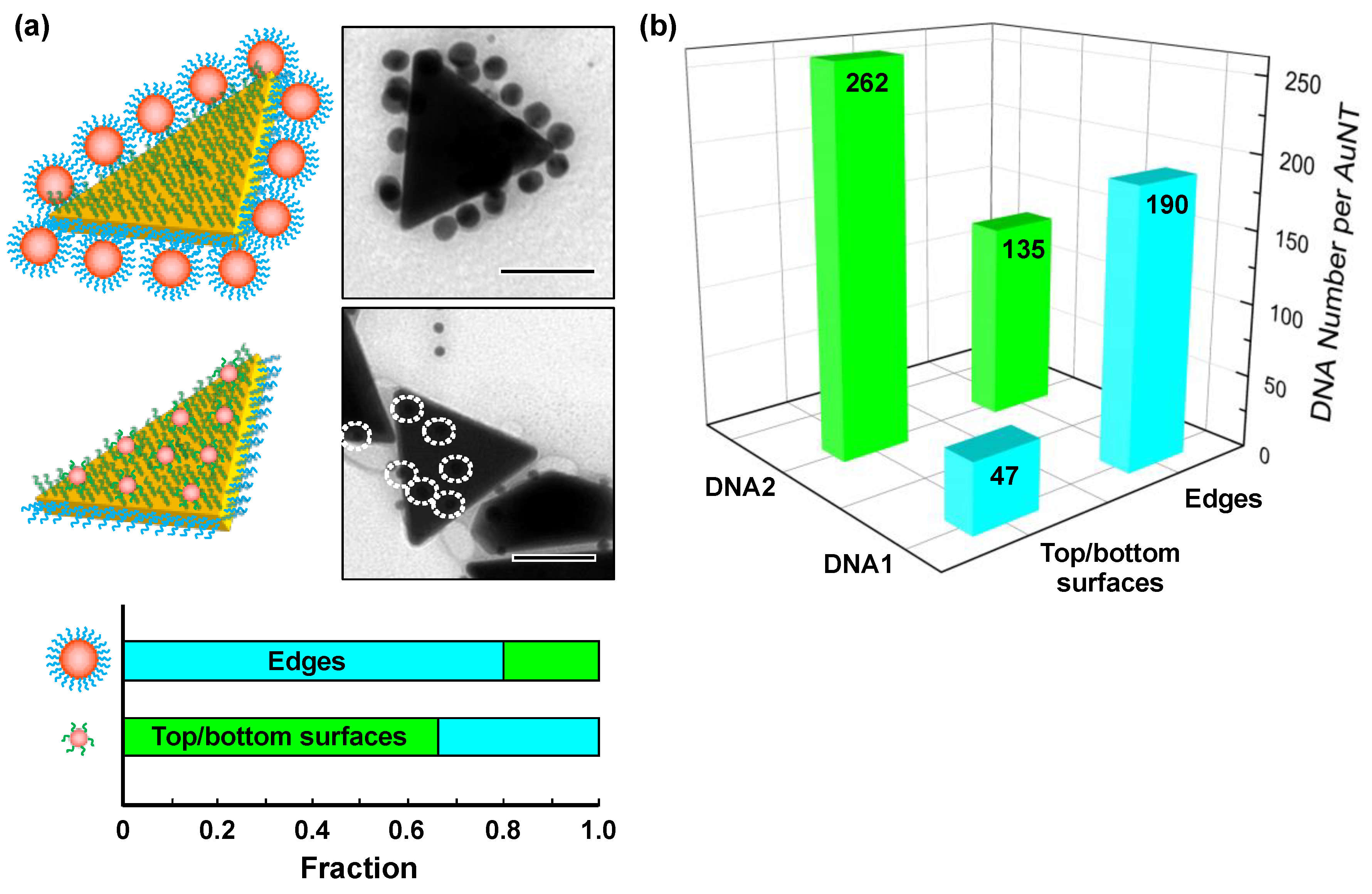 Nanomaterials 09 00581 g003 550