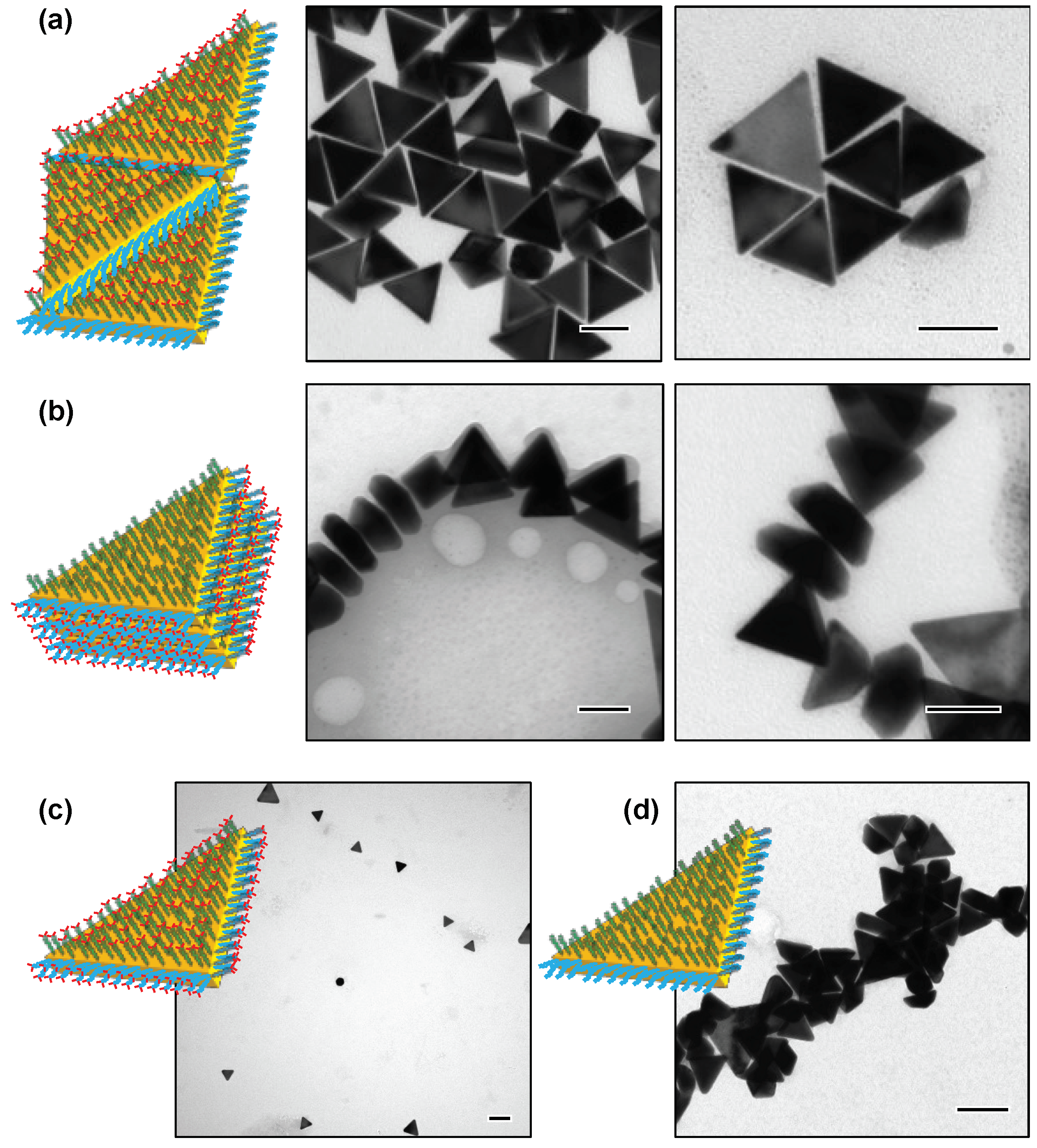Nanomaterials 09 00581 g004 550
