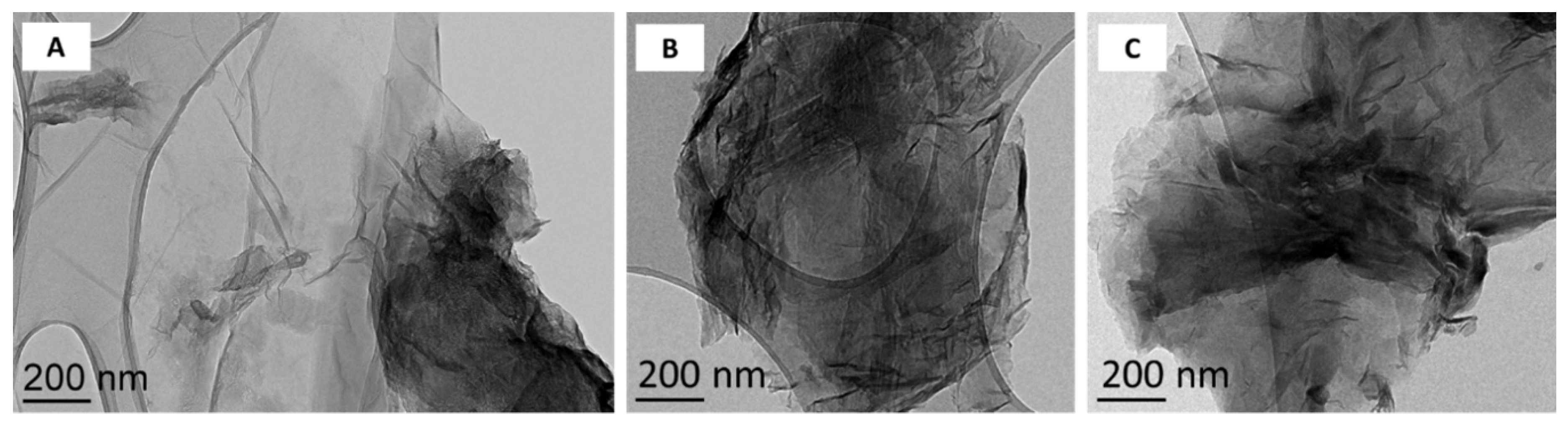 Nanomaterials 09 00584 g001 550