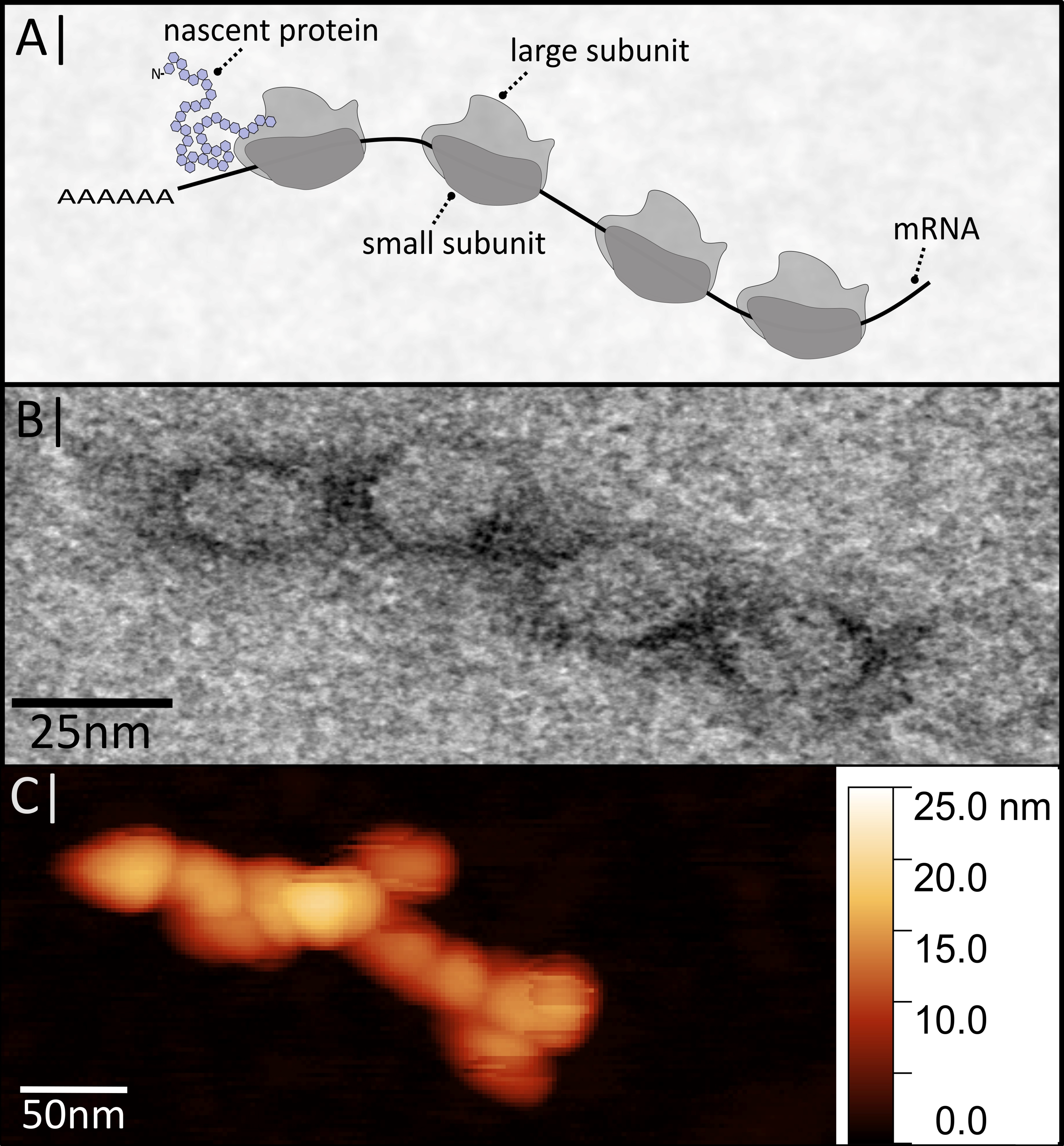 Nanomaterials 09 00585 g001 550