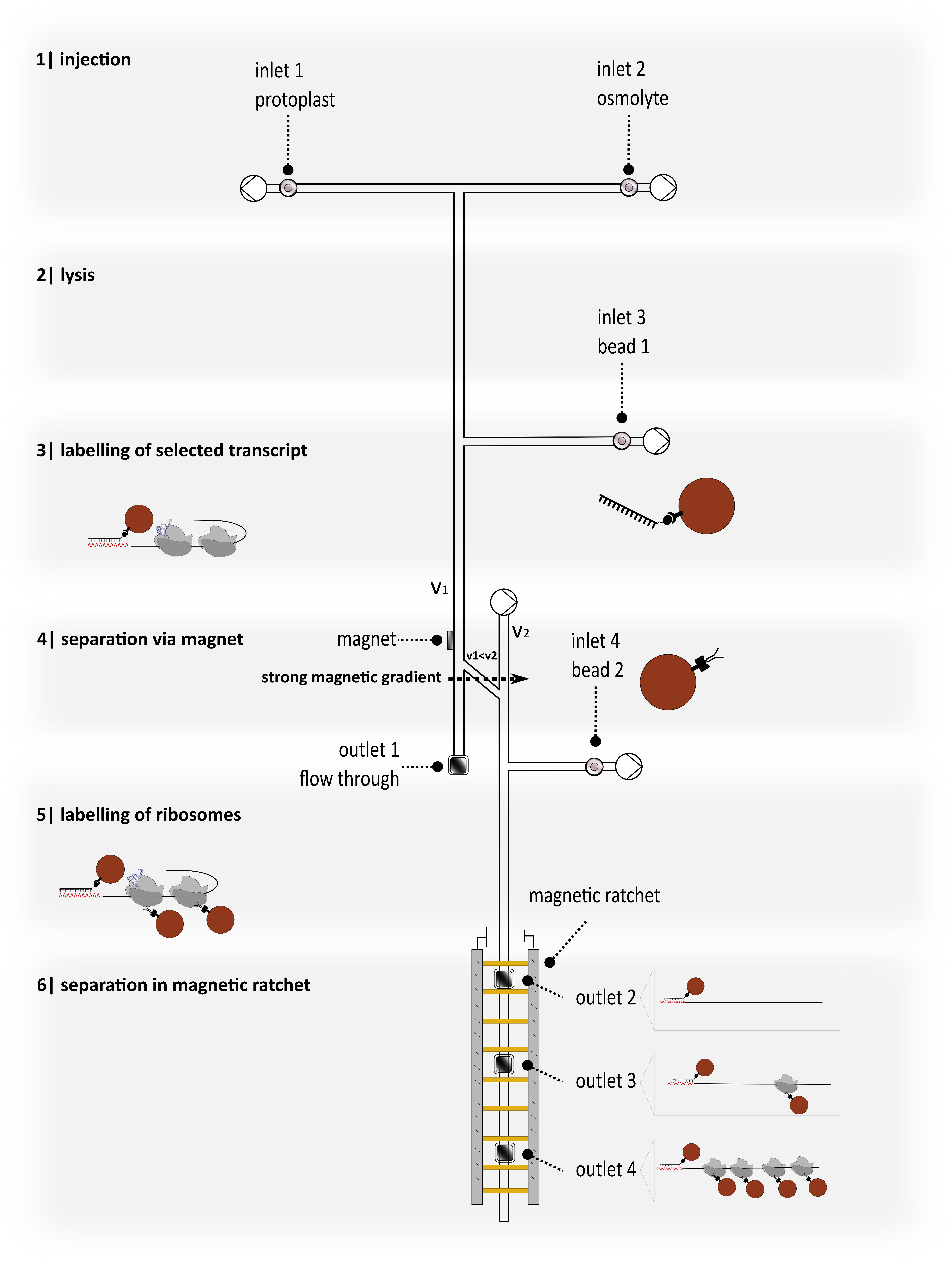 Nanomaterials 09 00585 g003 550
