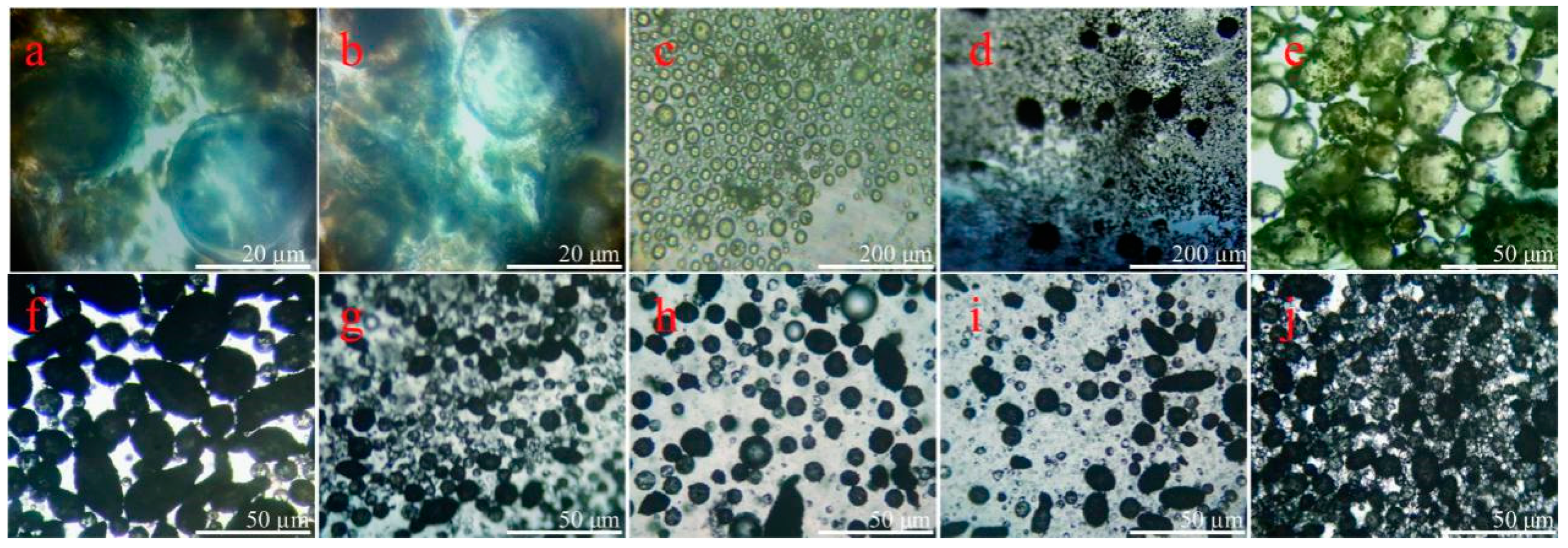 Nanomaterials 09 00587 g003 550