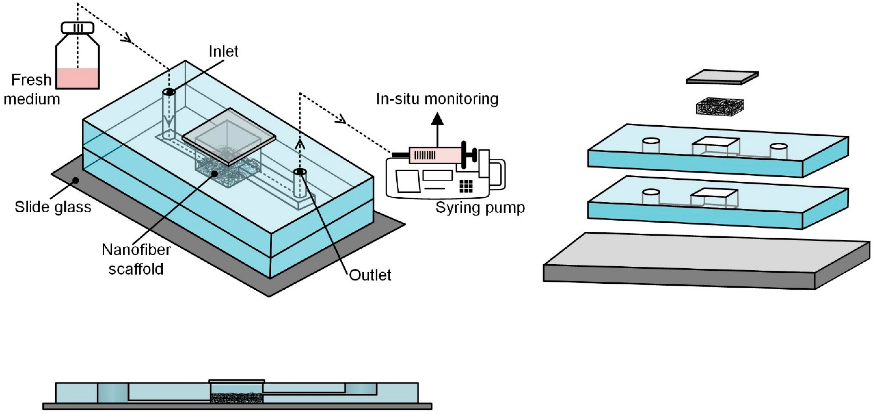 Nanomaterials | Free Full-Text | A Microfluidic Chip ...