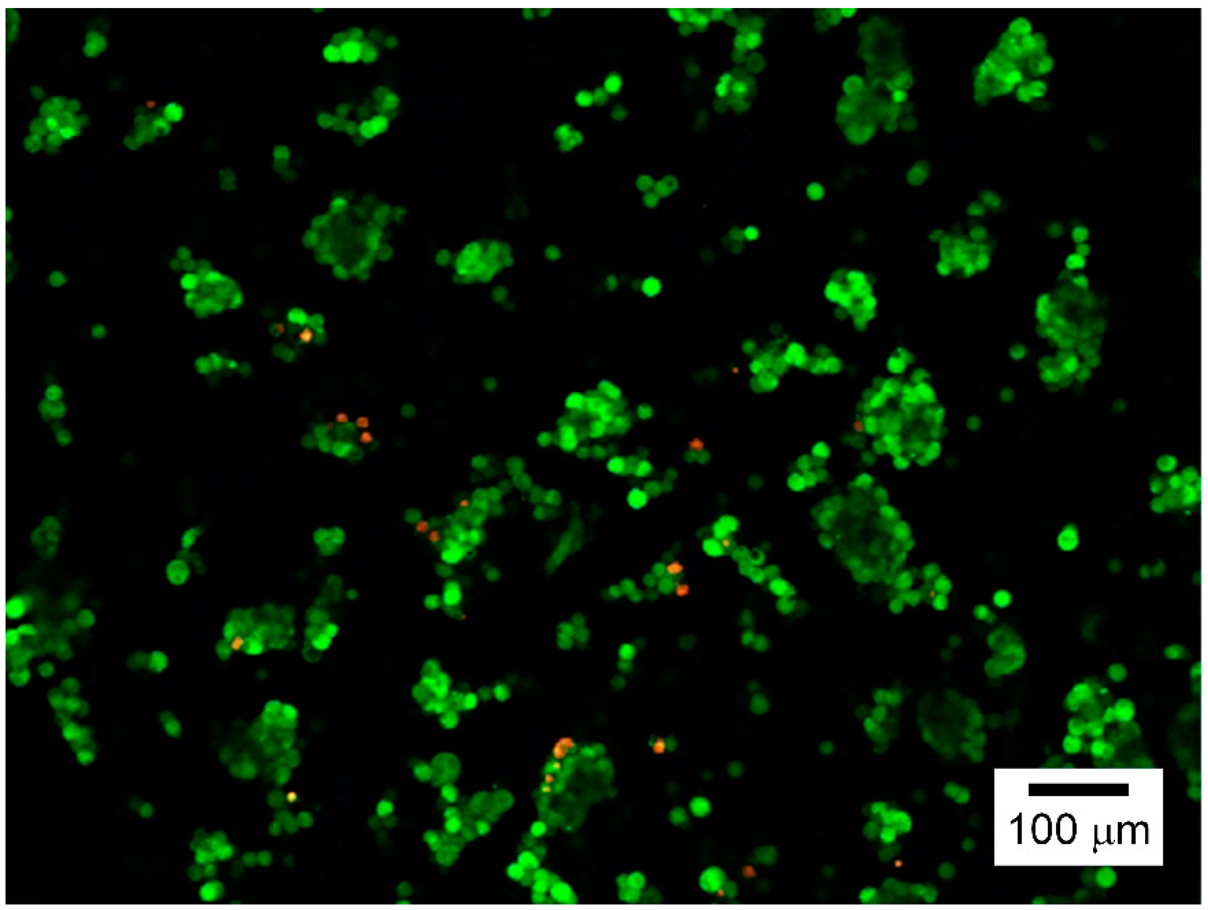 Nanomaterials 09 00588 g005