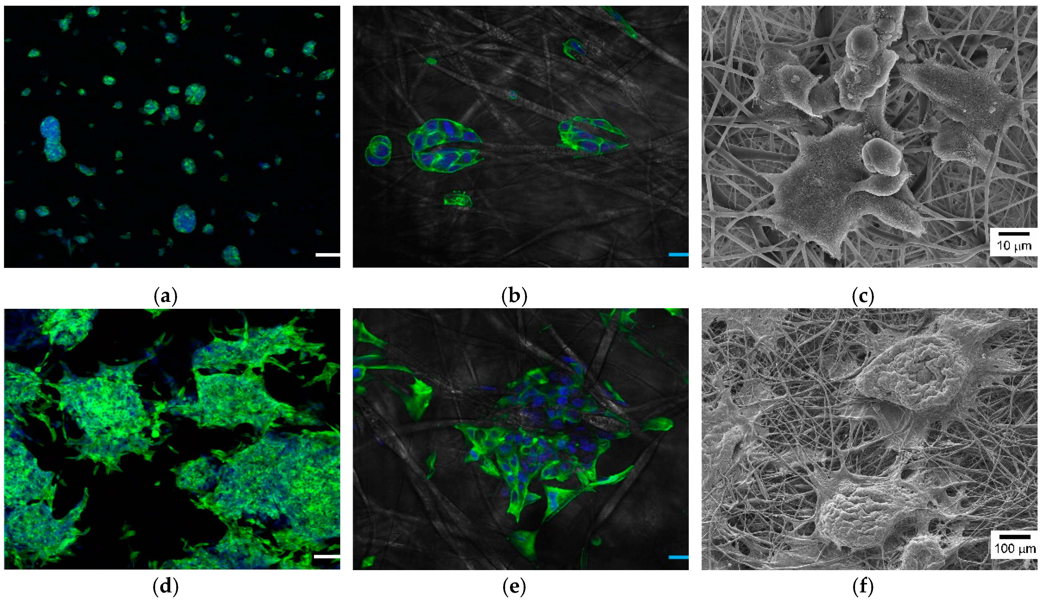 Nanomaterials 09 00588 g007