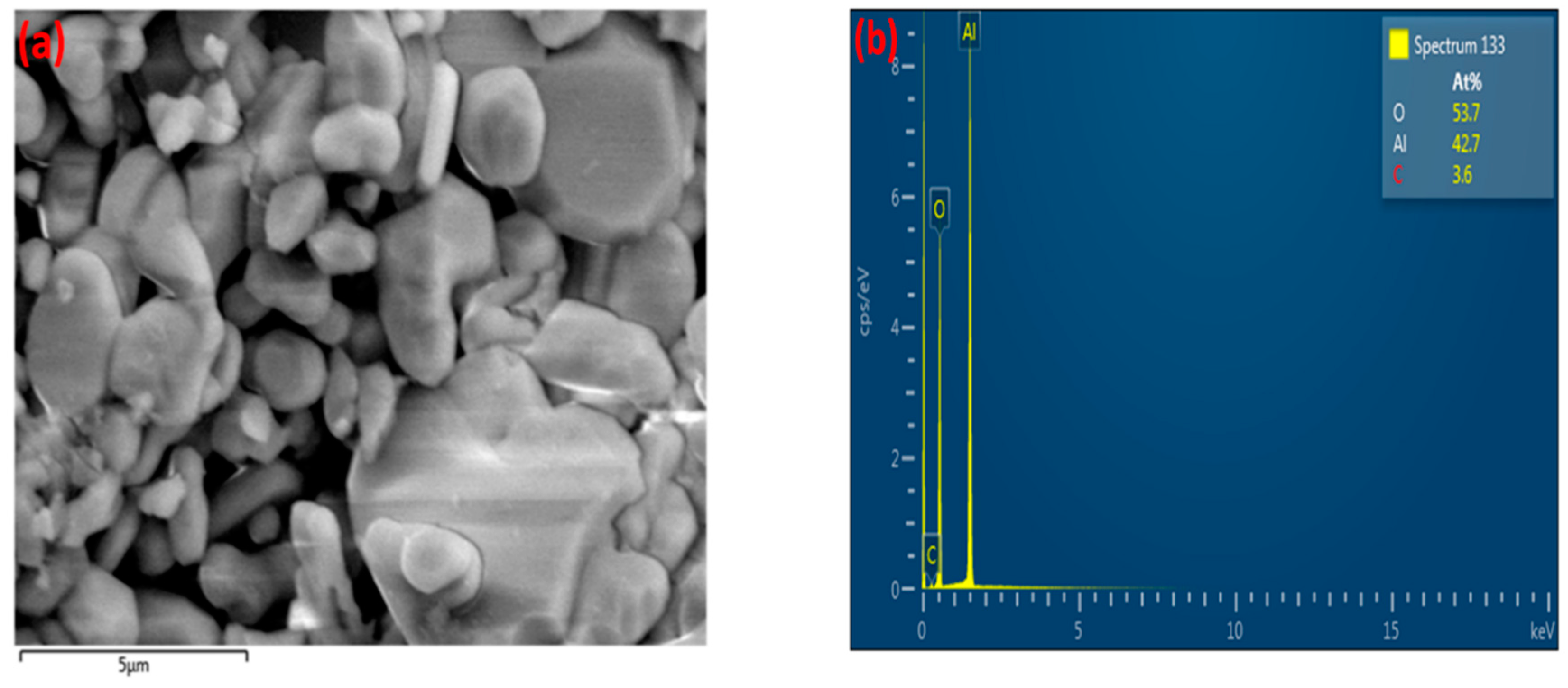 High-Resolution SEM and EDX Characterization of Deposits Formed by CH4 ...