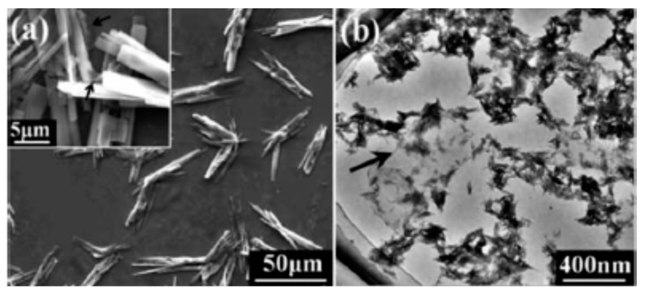 Nanomaterials 09 00590 g007 Nanomaterials 09 00590 g007