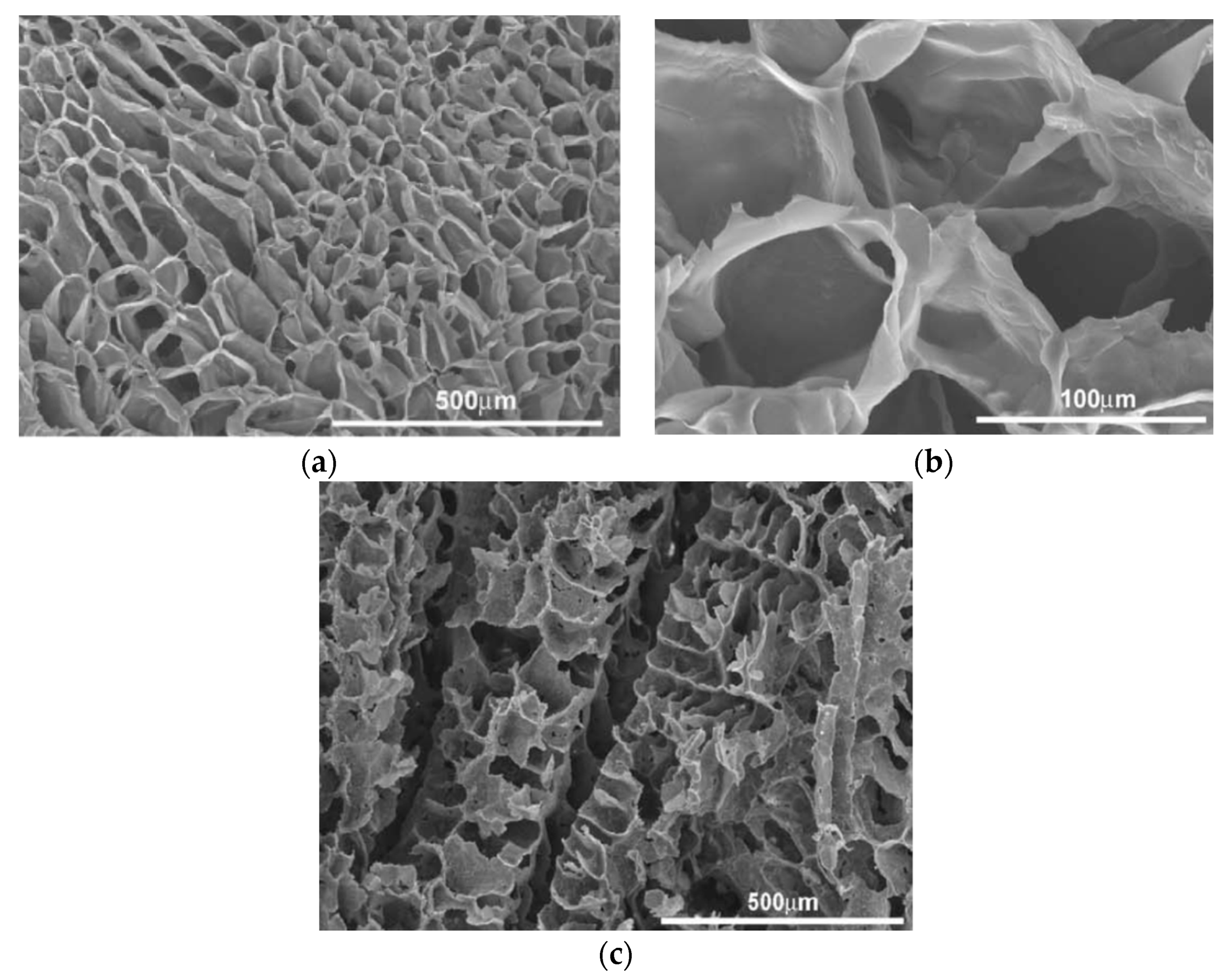 Nanomaterials 09 00590 g013 Nanomaterials 09 00590 g013