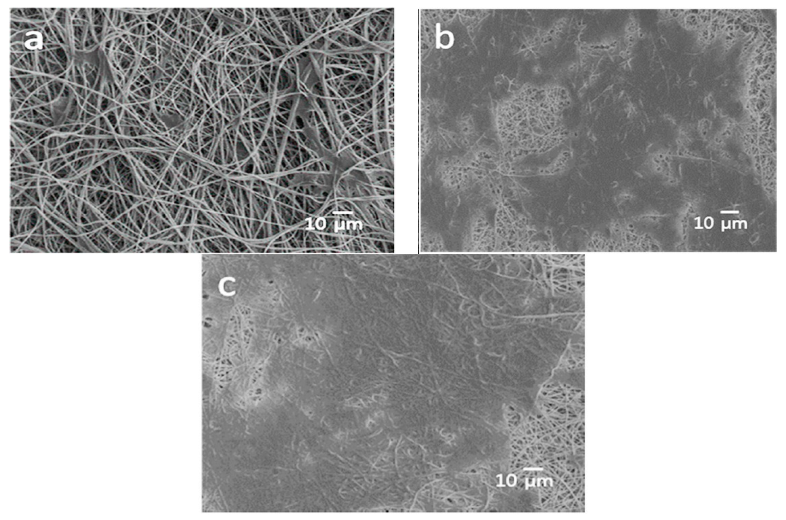 Nanomaterials 09 00590 g028 Nanomaterials 09 00590 g028