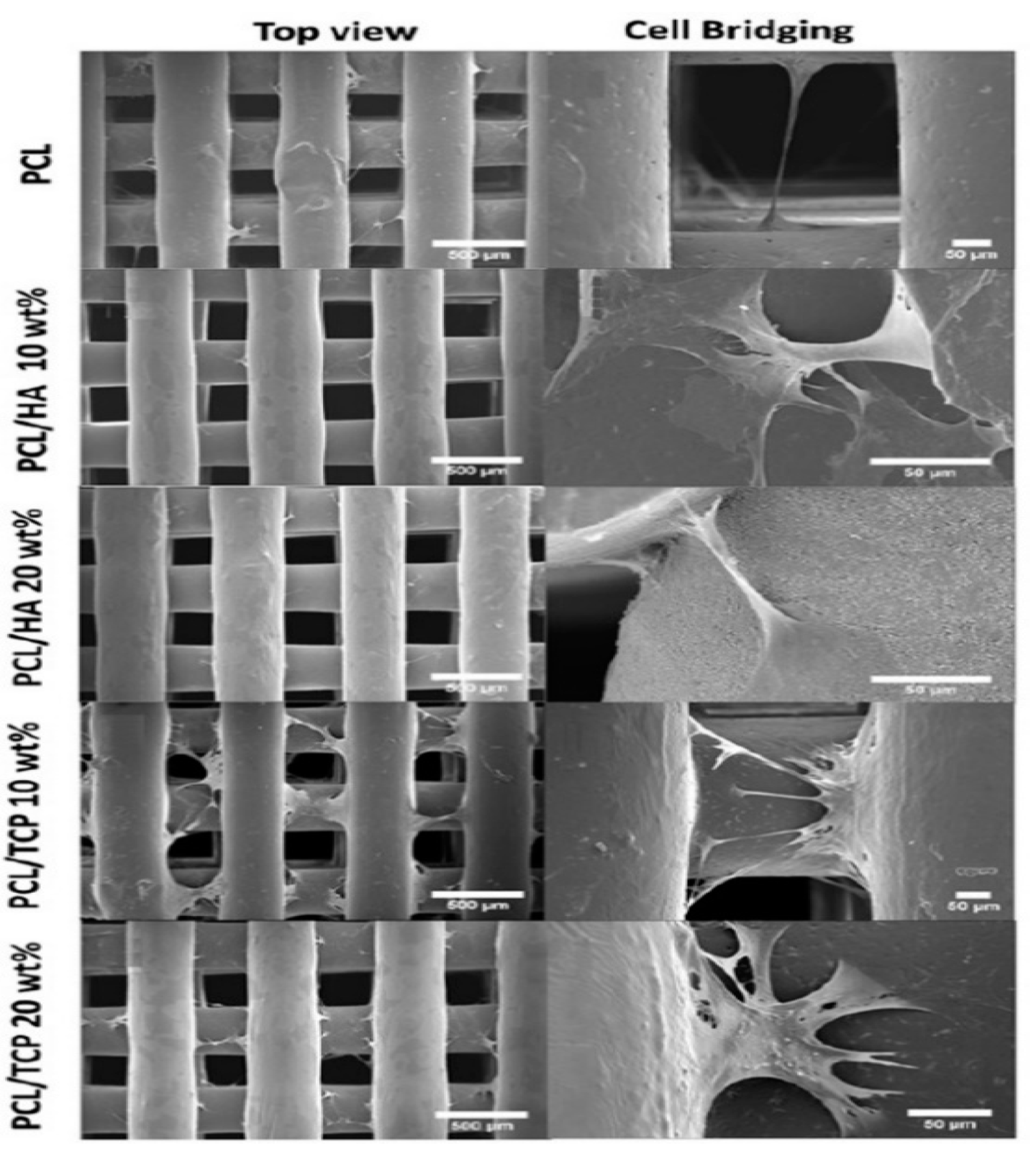 Nanomaterials 09 00590 g036 Nanomaterials 09 00590 g036