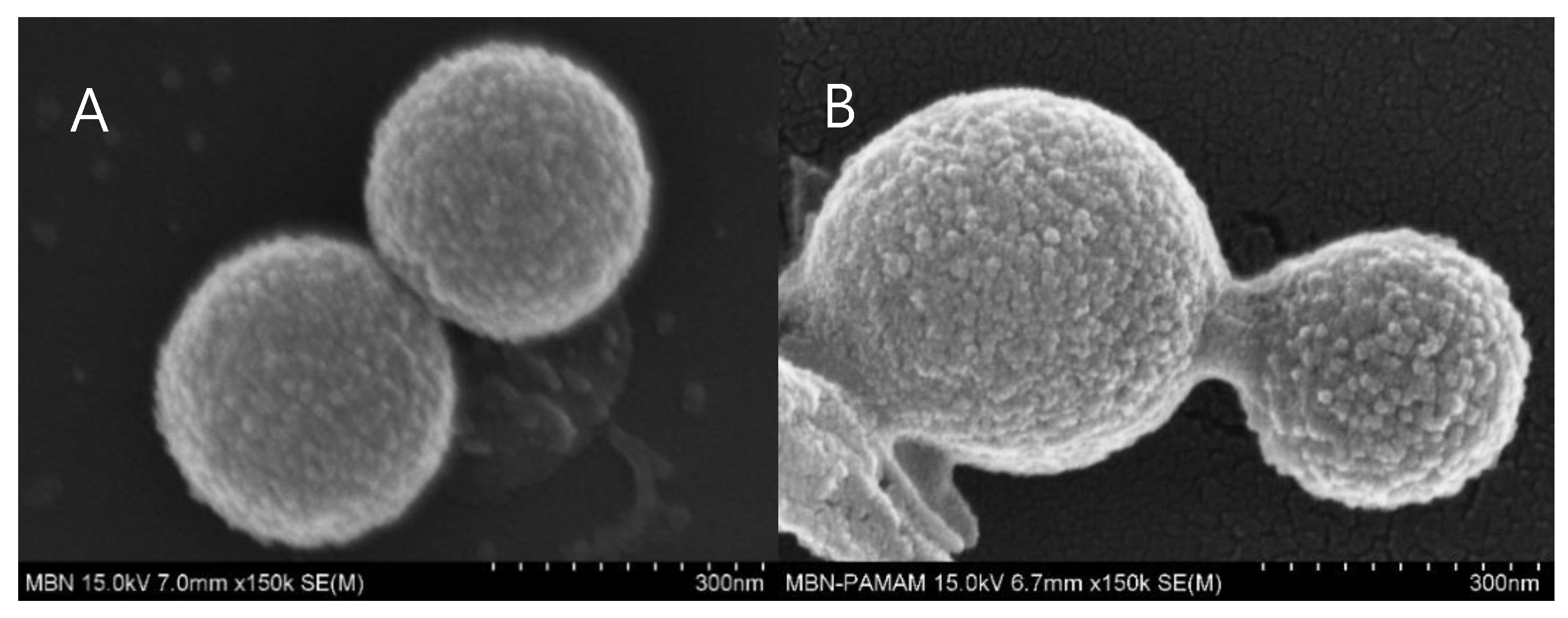 Nanomaterials 09 00591 g004 Nanomaterials 09 00591 g004