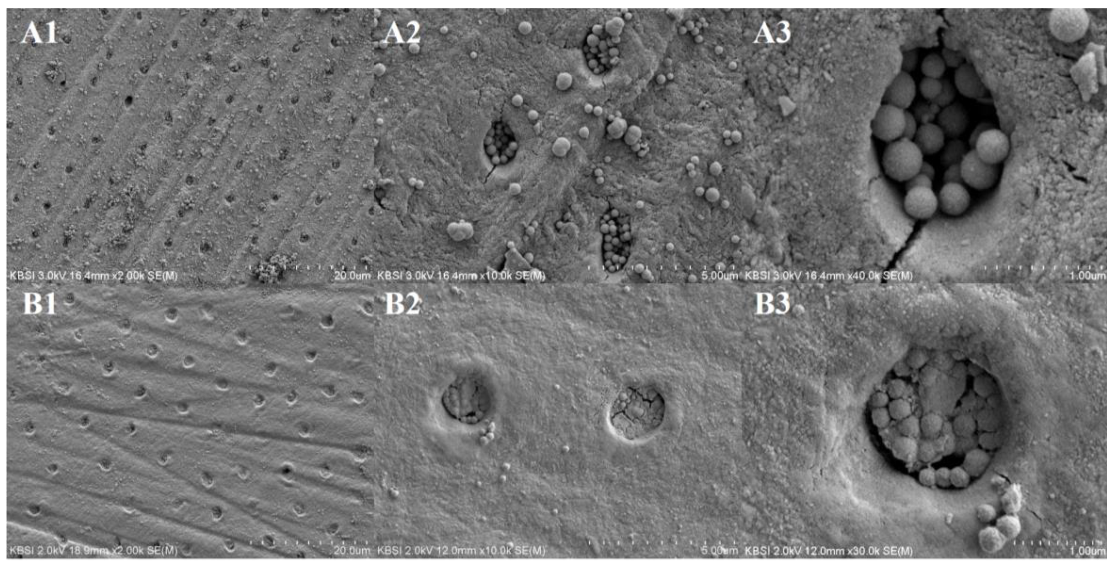 Nanomaterials 09 00591 g010 Nanomaterials 09 00591 g010