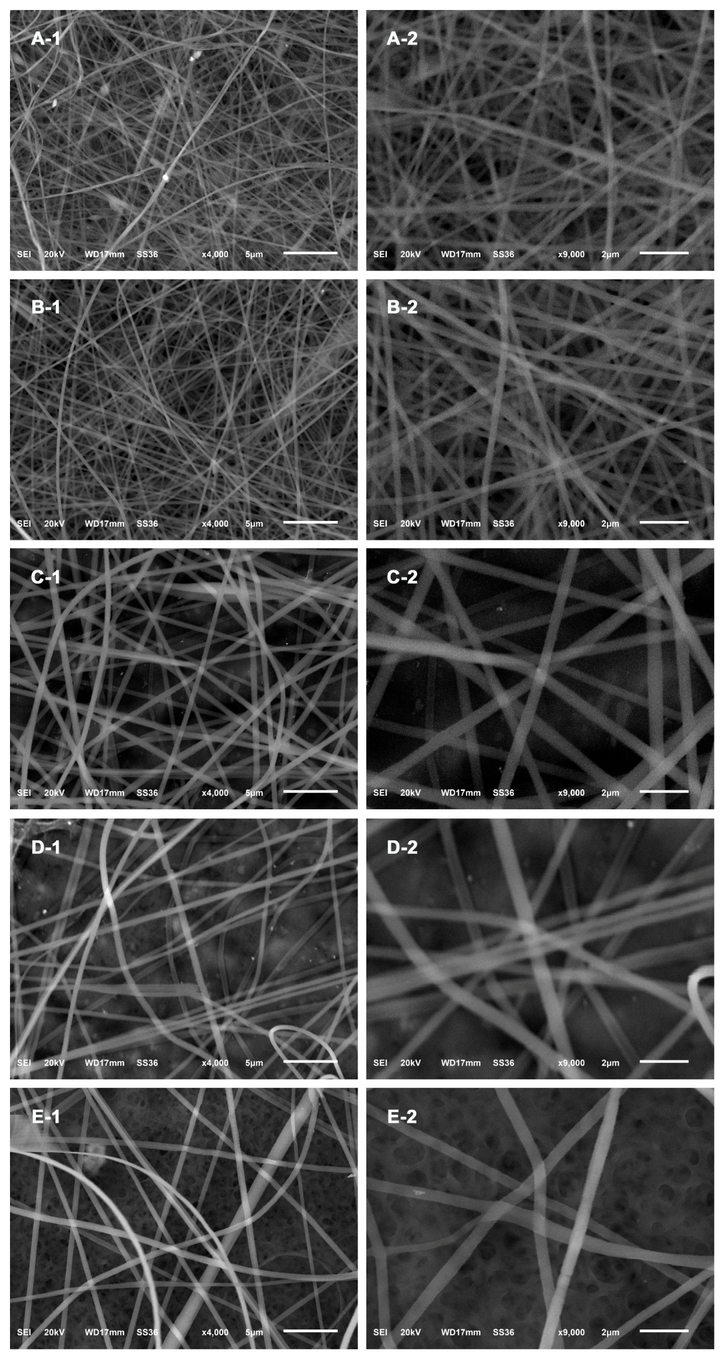 Nanomaterials 09 00592 g005