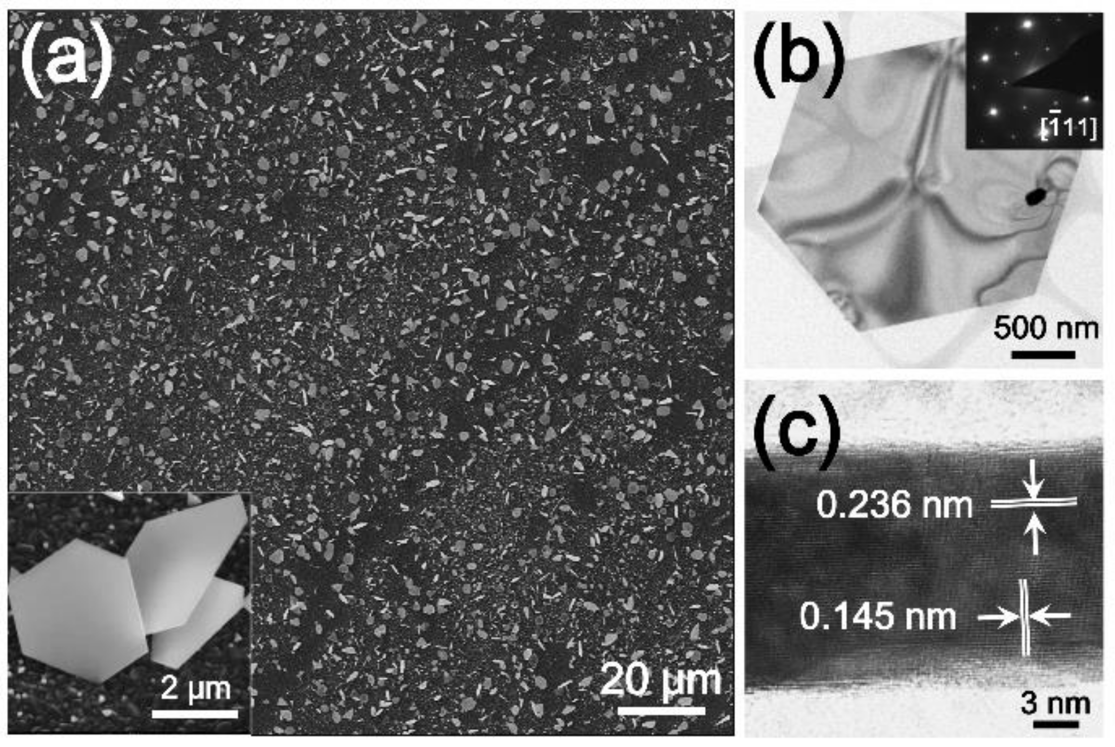 Nanomaterials 09 00595 g005