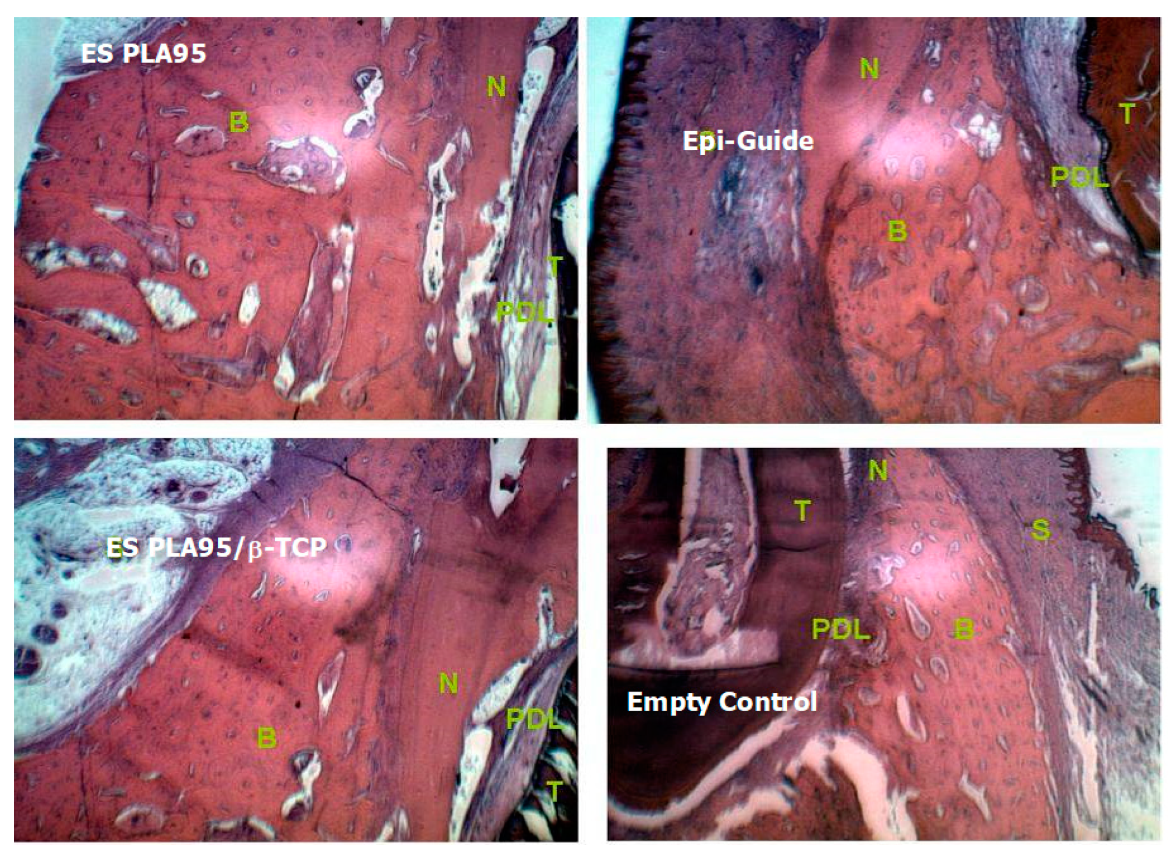 Nanomaterials 09 00599 g005