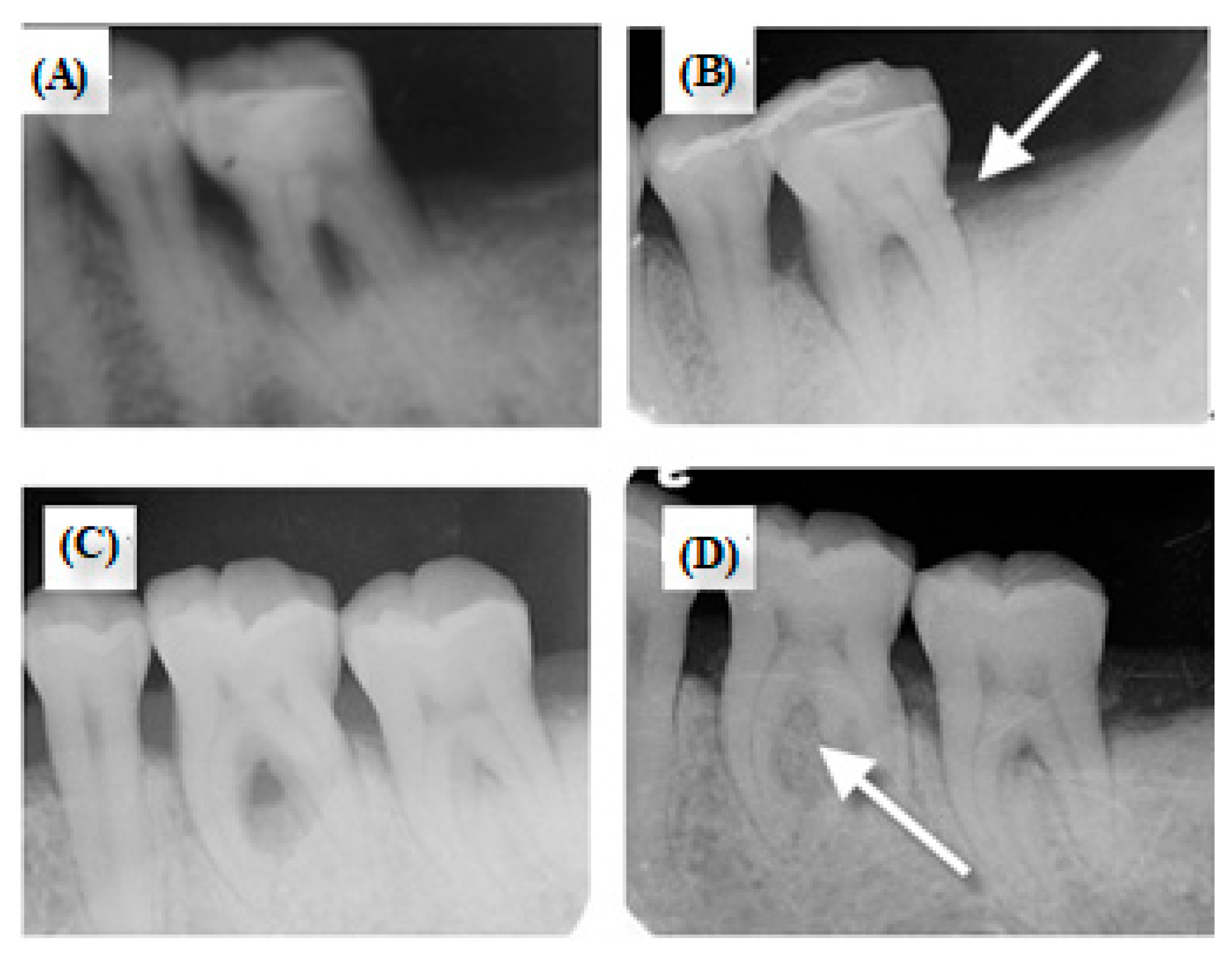 Nanomaterials 09 00599 g007