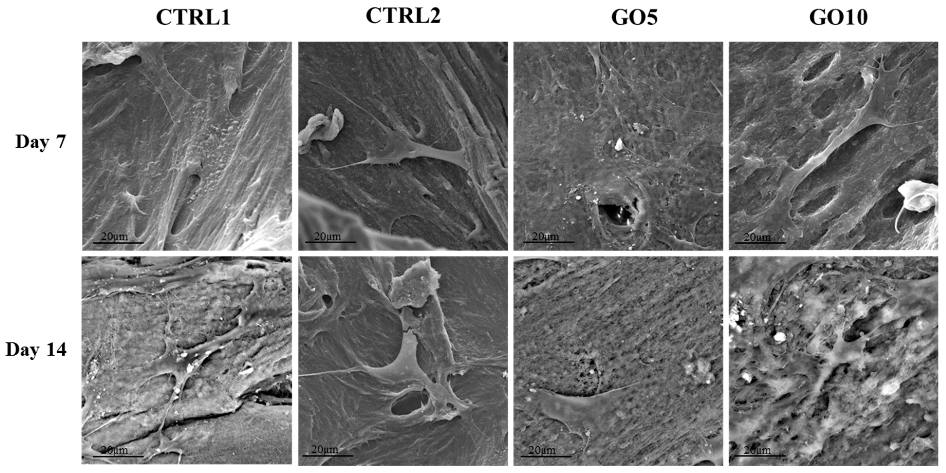 Nanomaterials 09 00604 g005