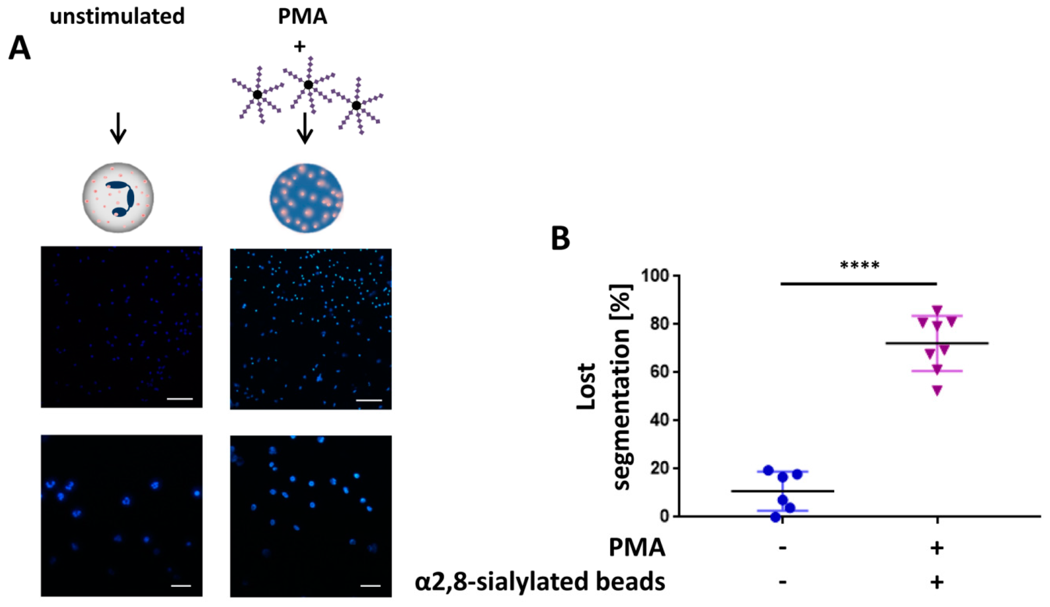 Nanomaterials 09 00610 g002