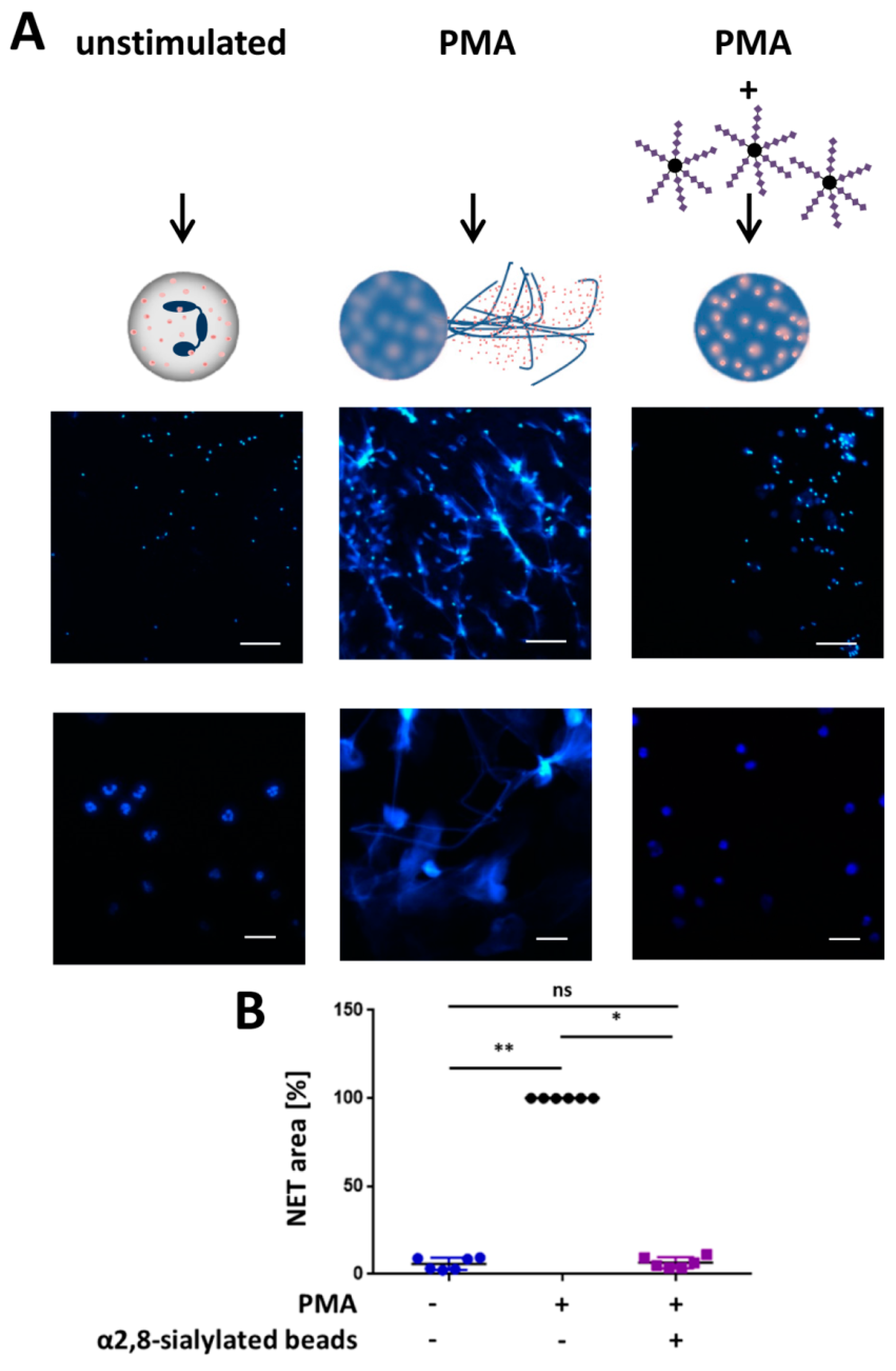 Nanomaterials 09 00610 g004